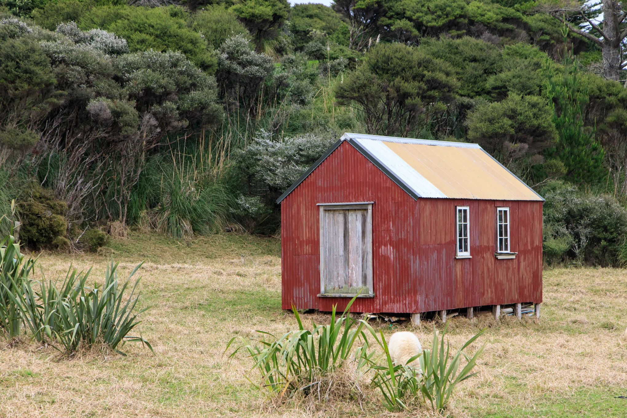 Shoal Bay
