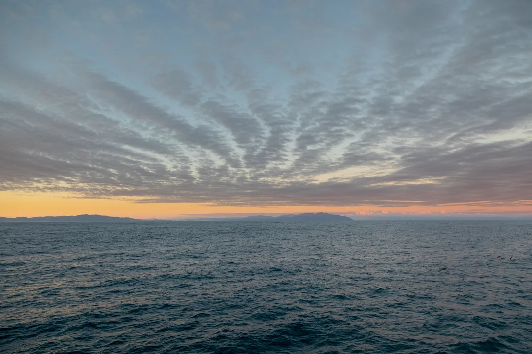 Tamzin Henderson - Otakou Sealord Cook Strait 2018 Sunset.jpg