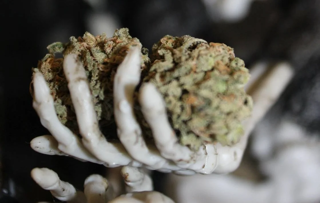 Durban Poison from Green Cross Specialties