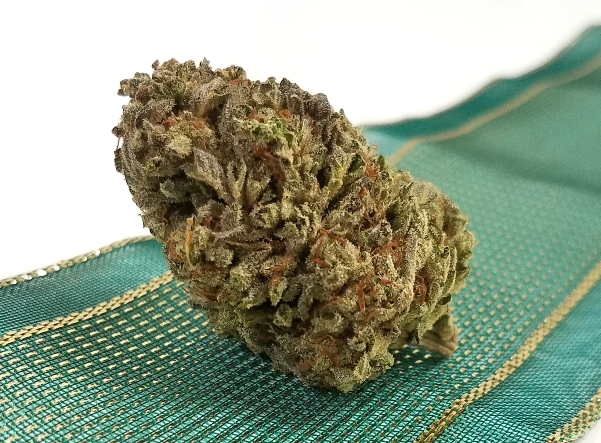 Tangieland grown by Cascade Valley Cannabis