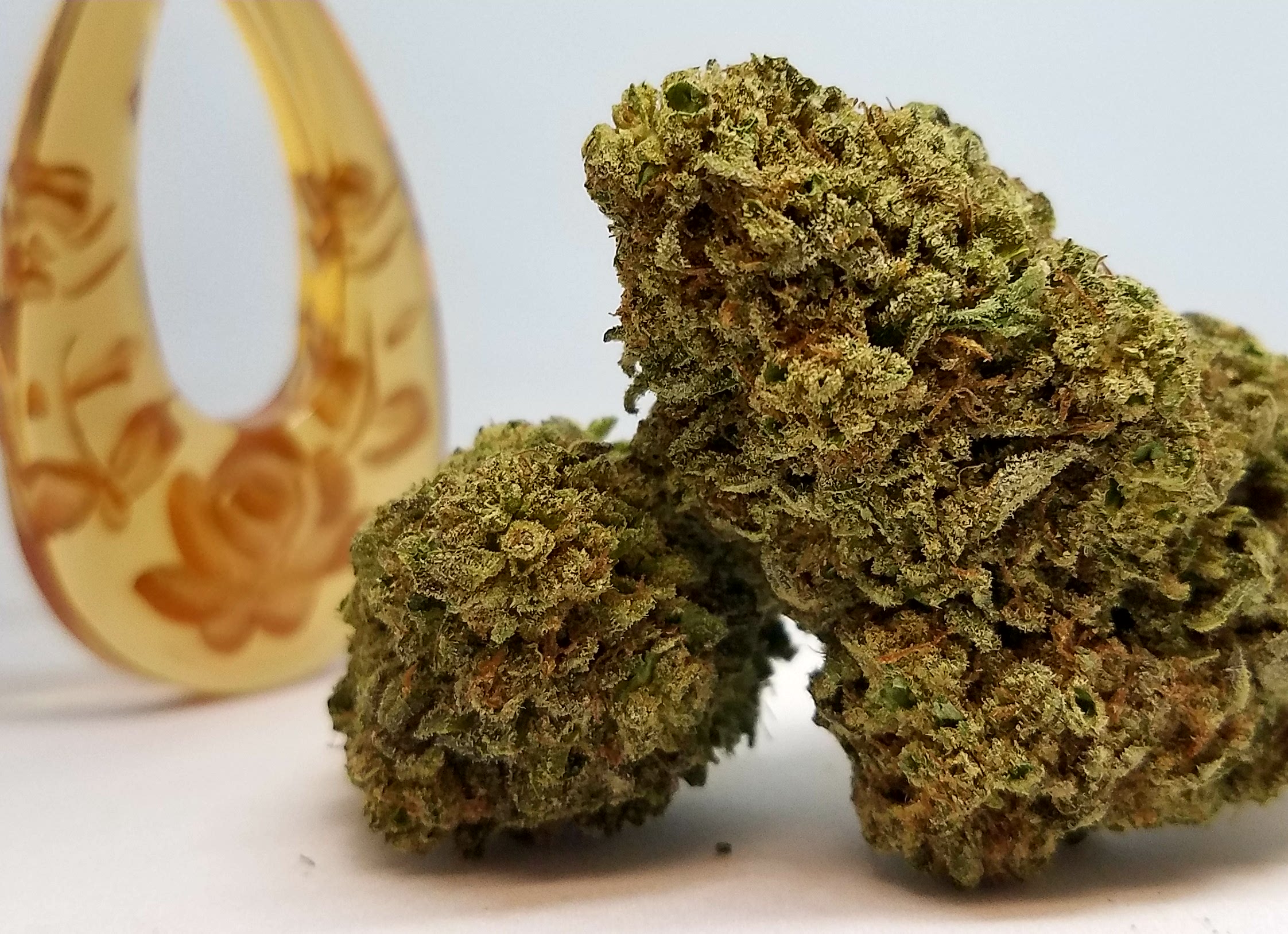 Sour Banana Sherb. from Cascade Valley Cannabis