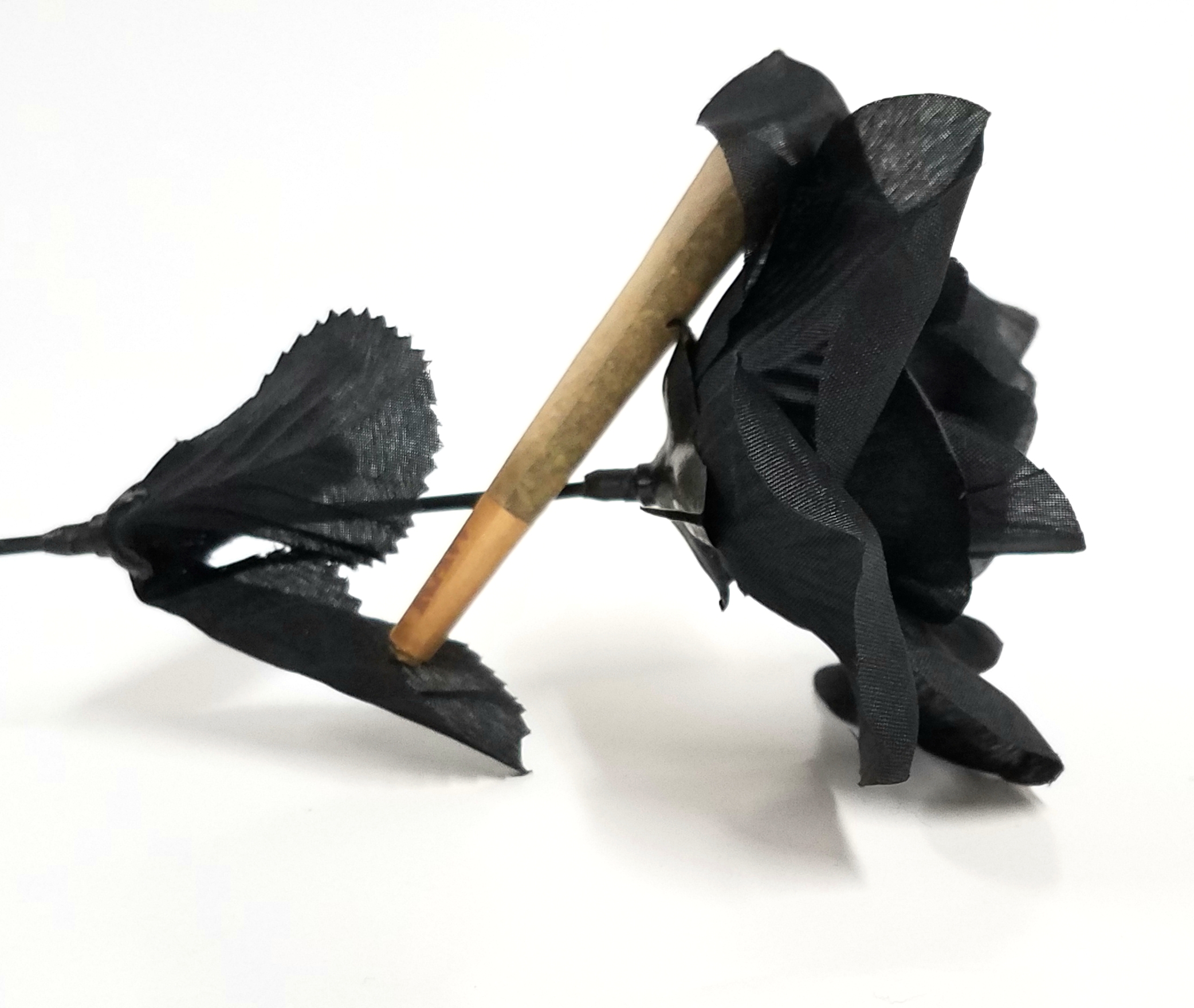 Black Sugar Rose