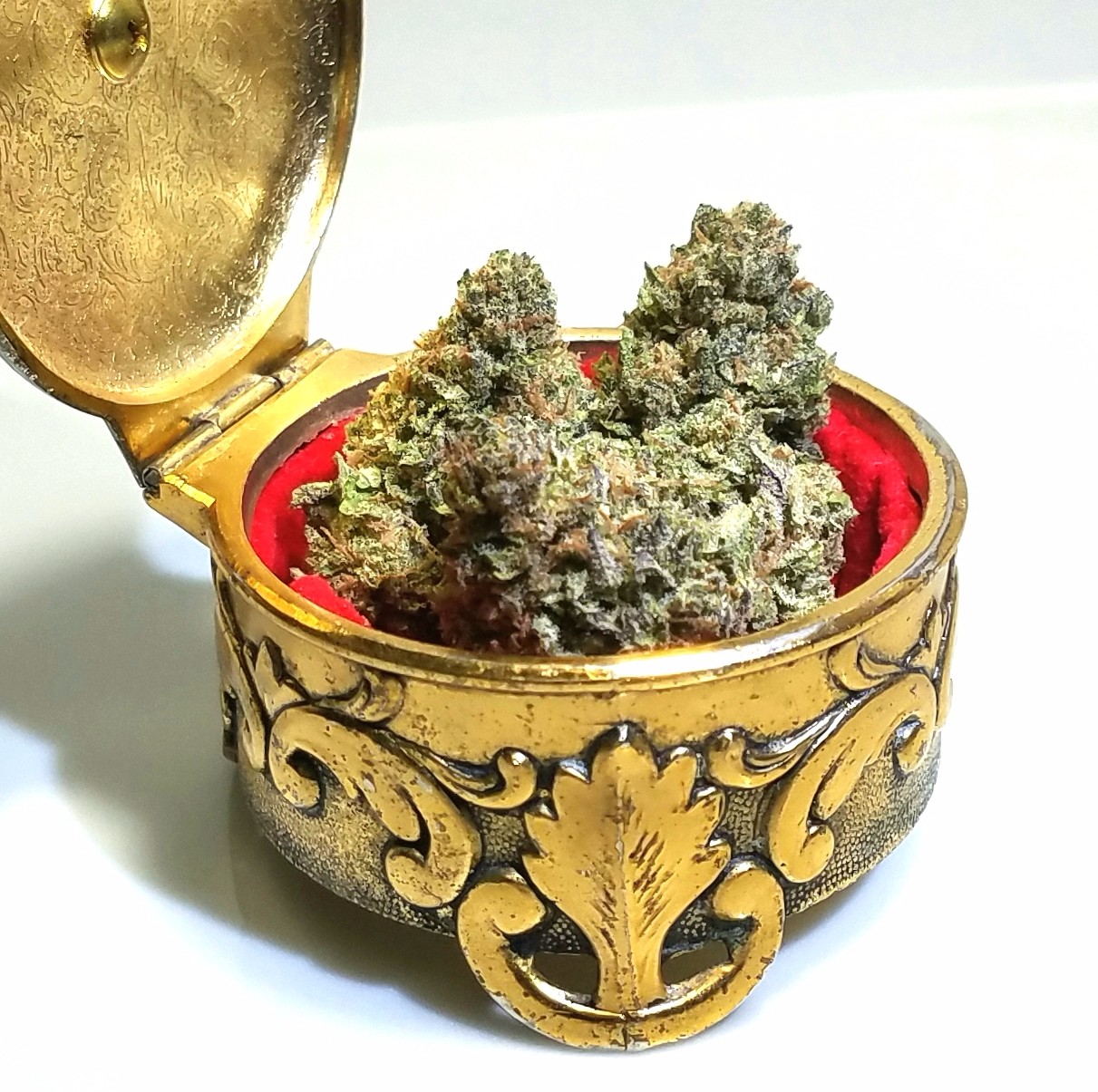 Blue Magoo