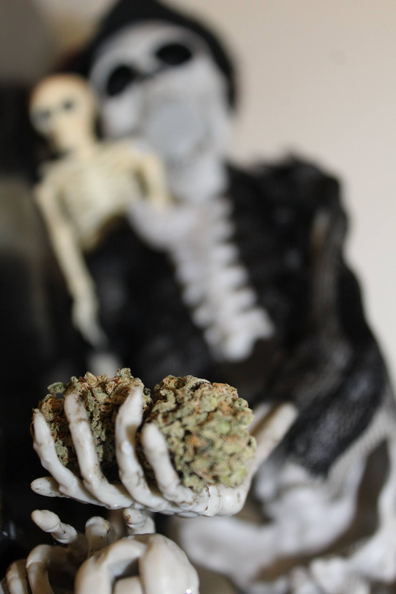 Durban Poison