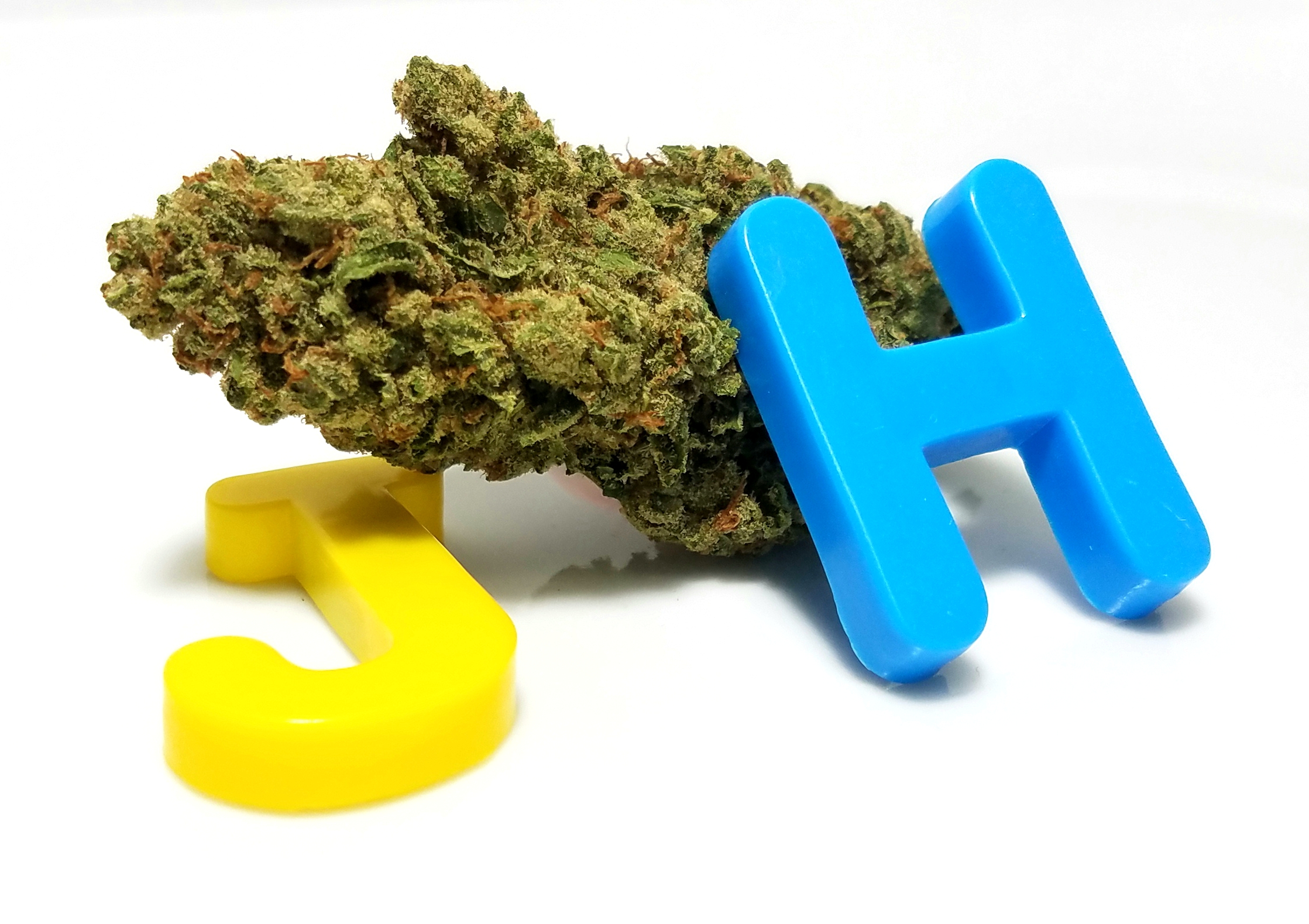 Jack Herer