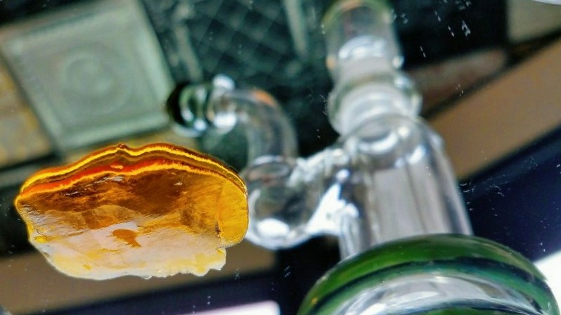 Buddha's Hand Whole Plant Run Extract