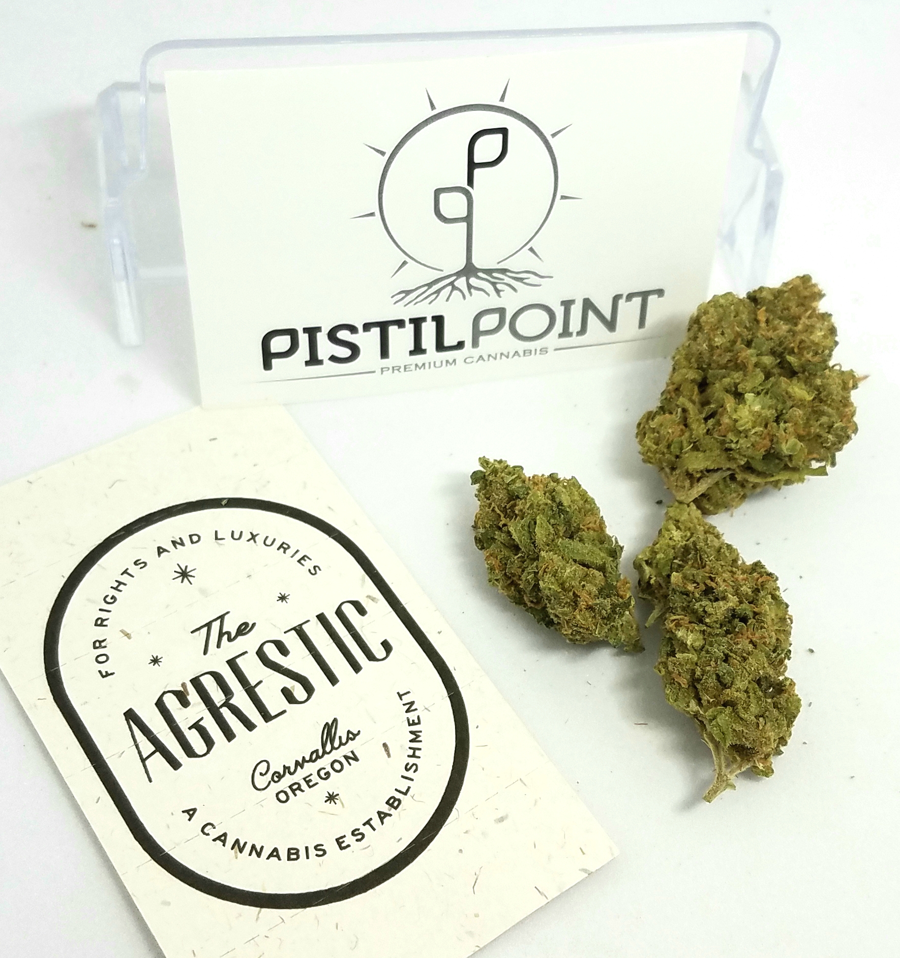 Pistil Point and The Agrestic