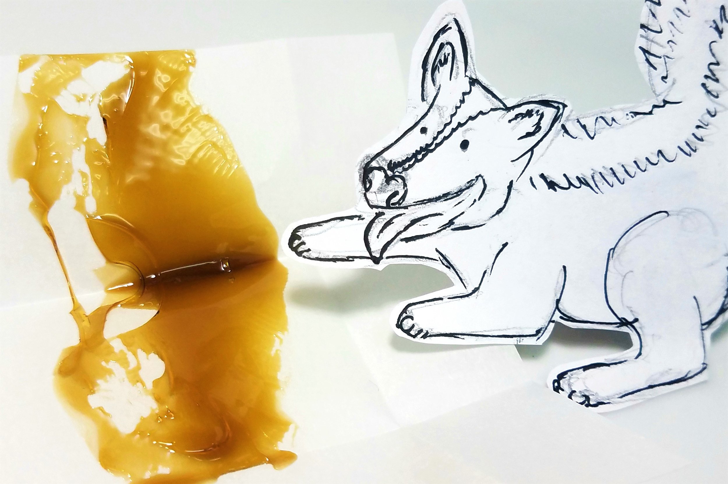 Skunk Dawg extract