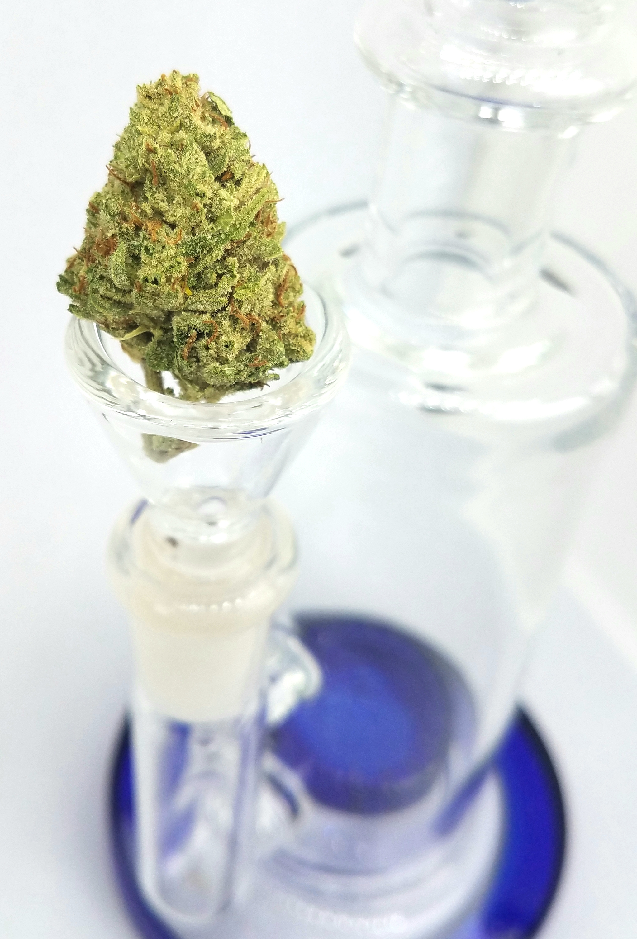 Lemon OG