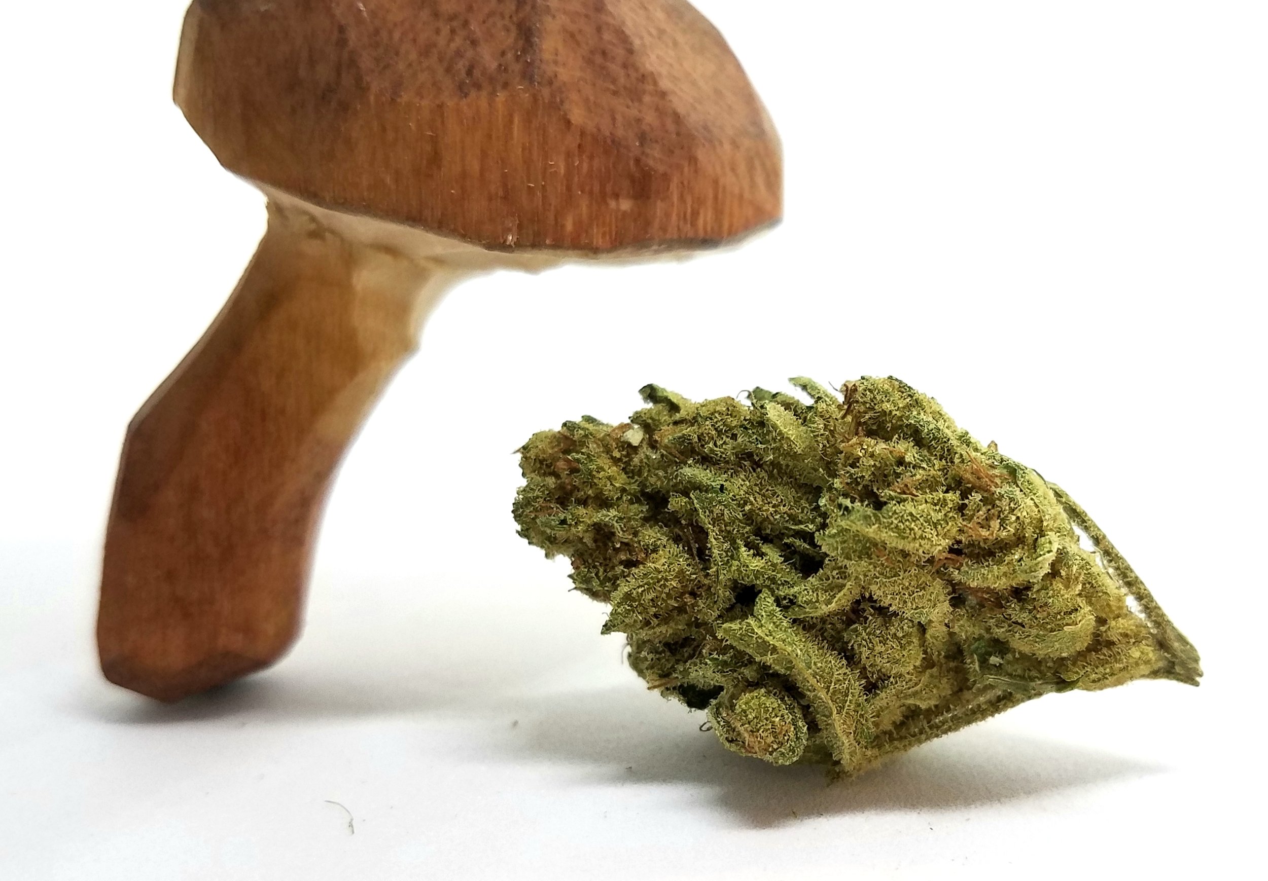 Goji OG