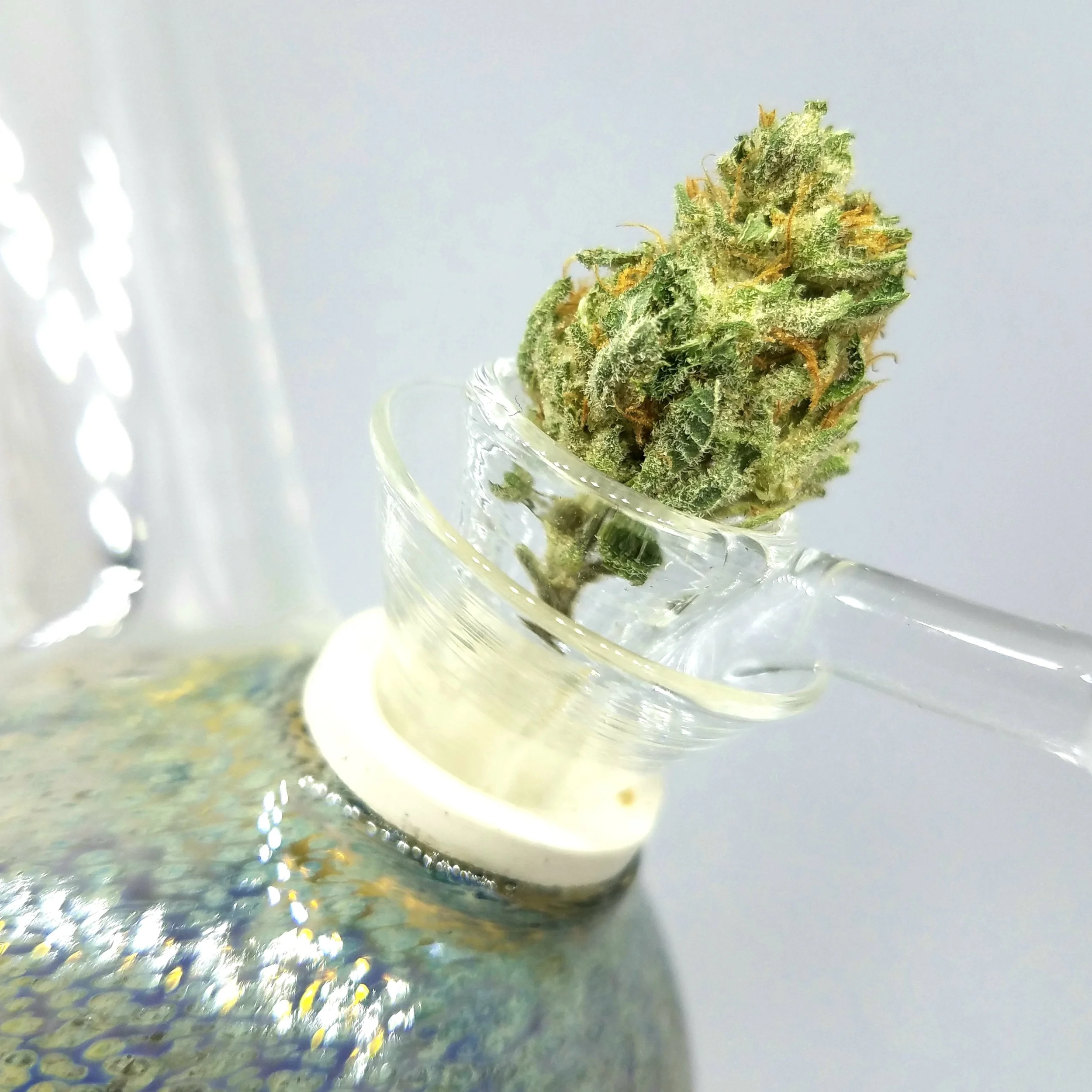 Hell's Fire OG grown by Renegade Roots