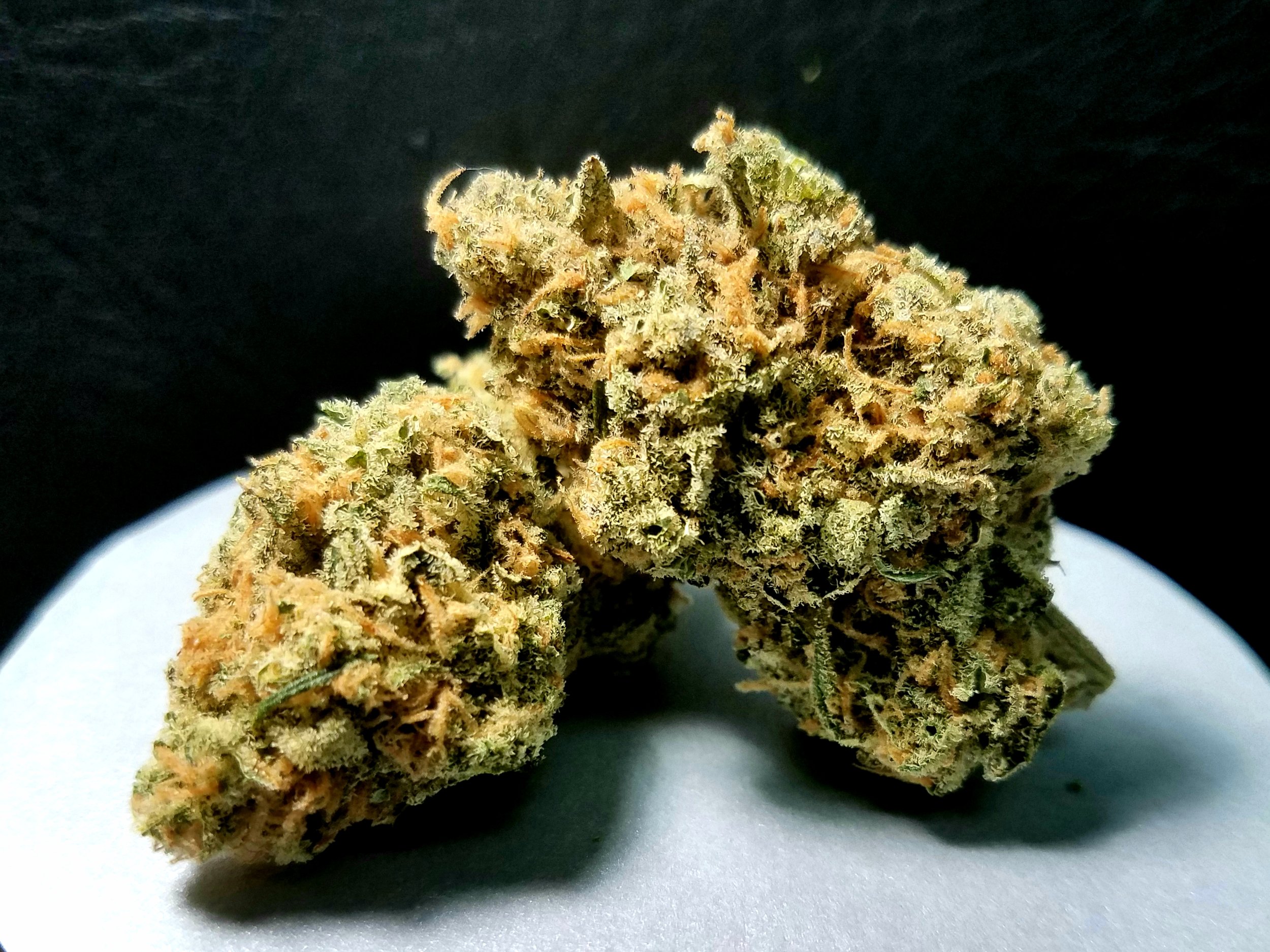 Super Silver Blue Magoo