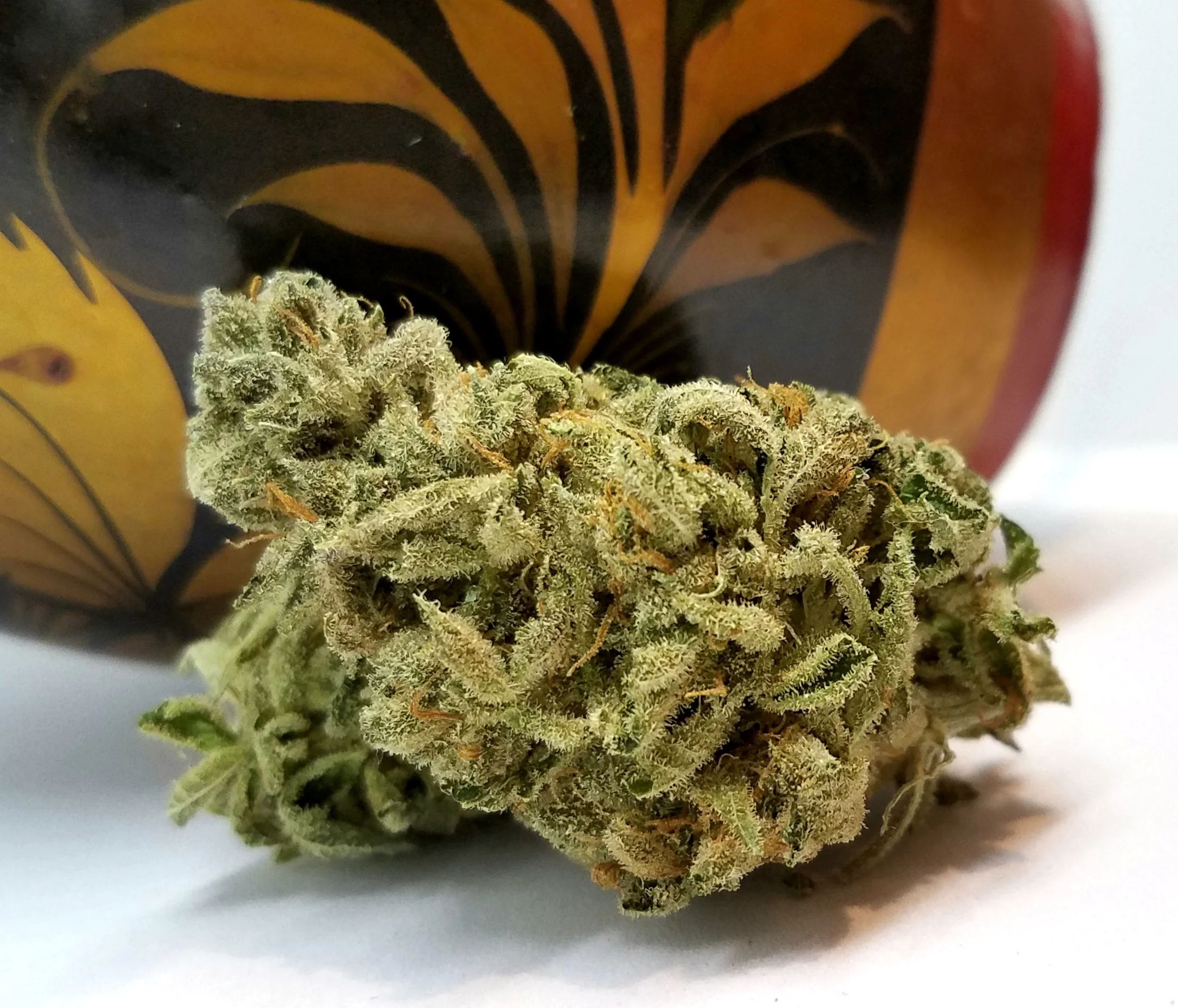 McGrupp grown by Renegade Roots