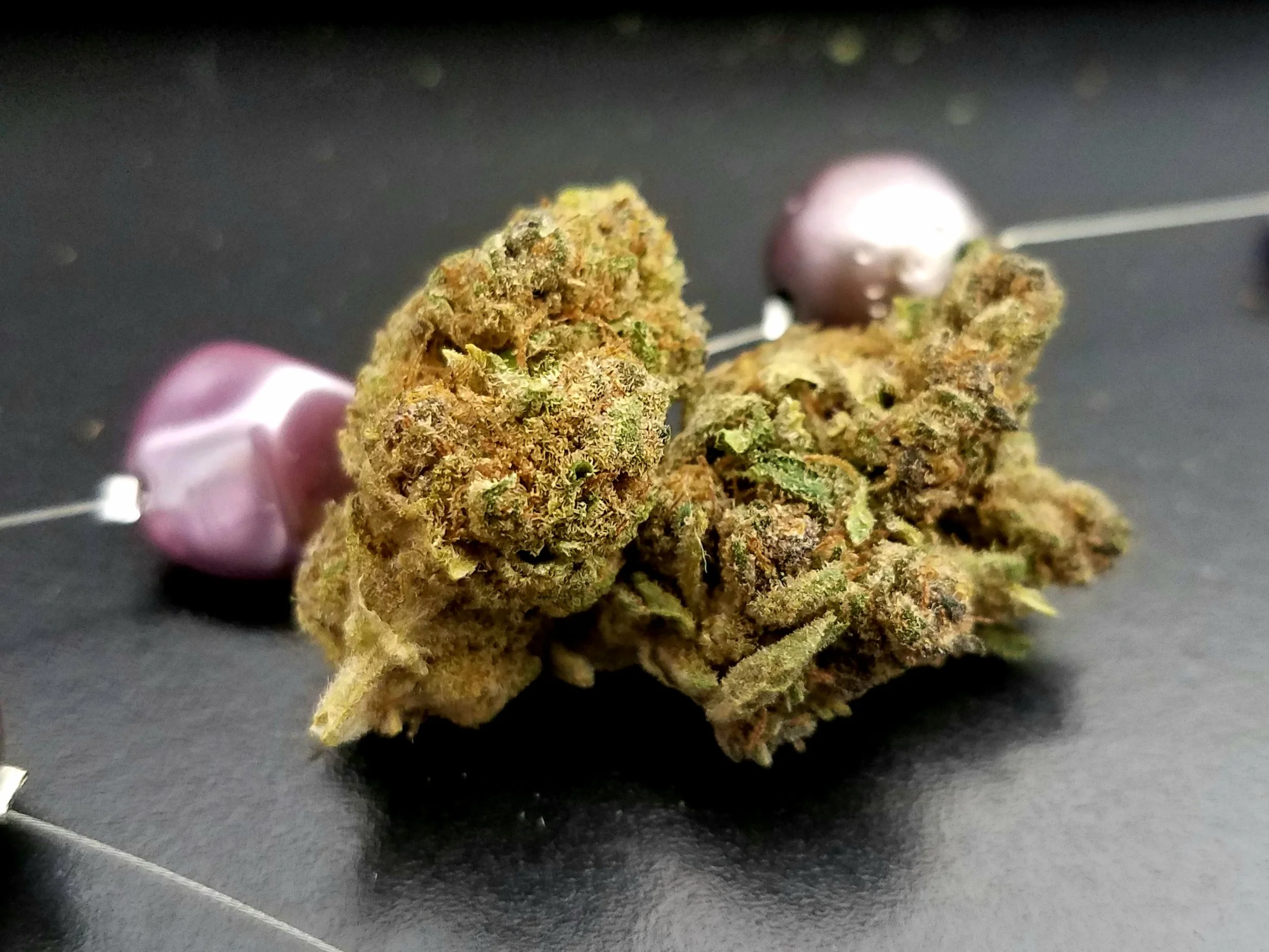 Purple Kush grown by Applegate River Roots