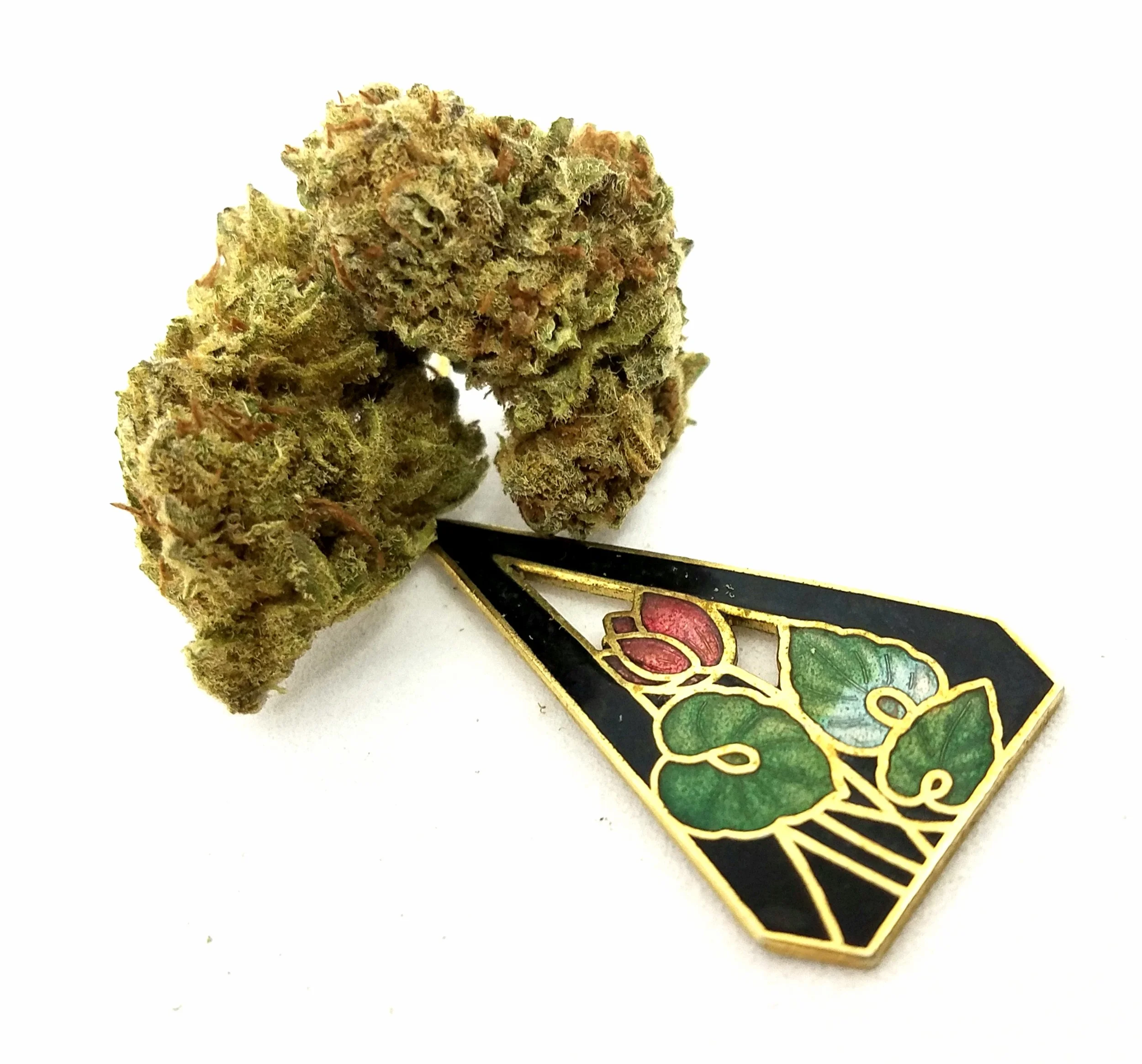 Gorilla Glue #12 grown by 45th Parallel Farms