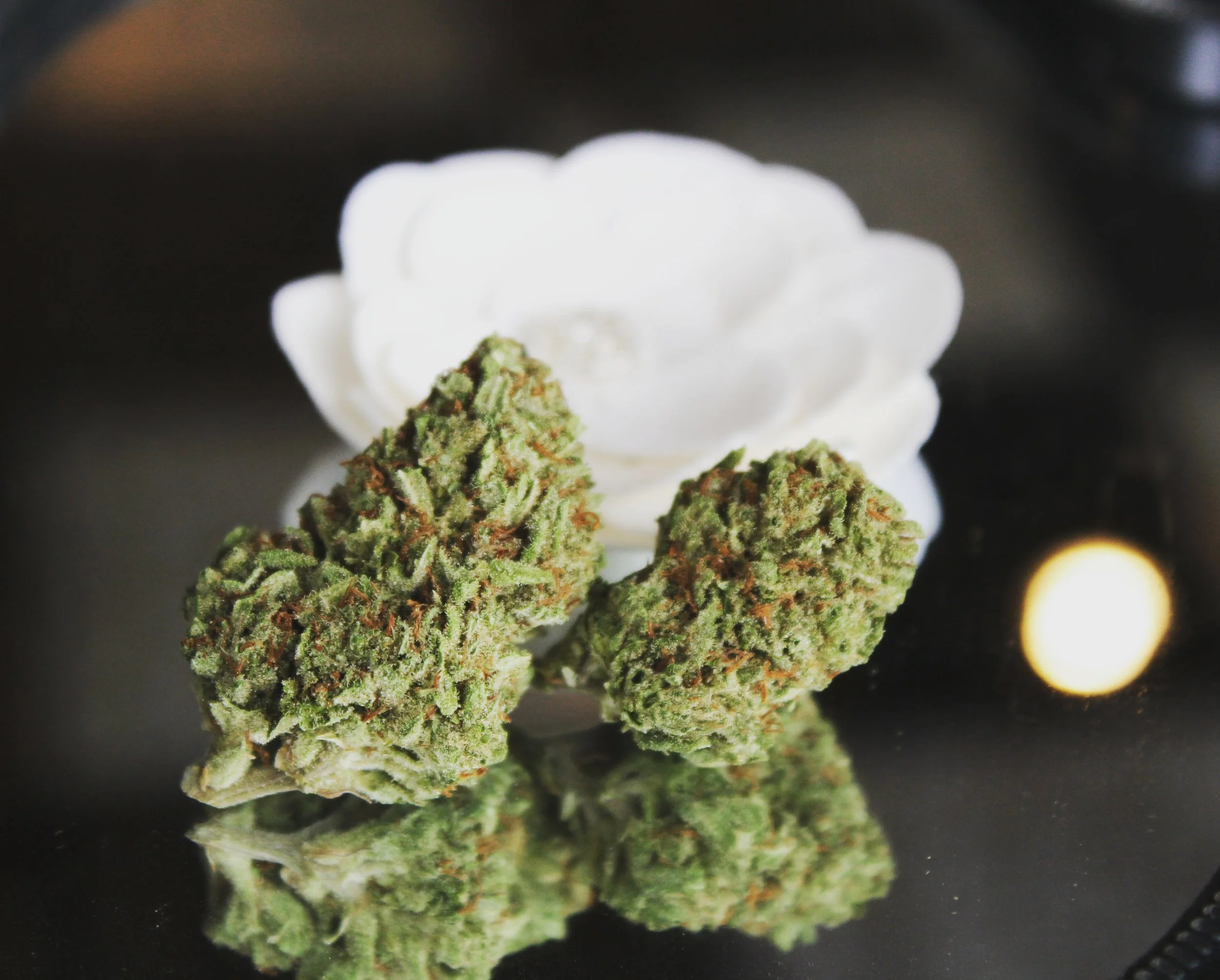 Lemon OG grown by Dicot Farms