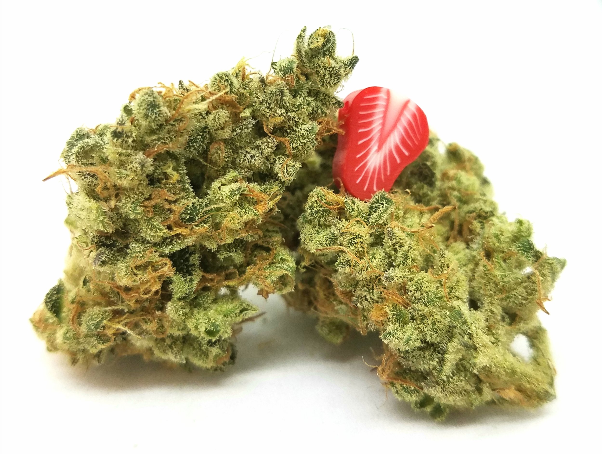 SOG Strawberries & Cream