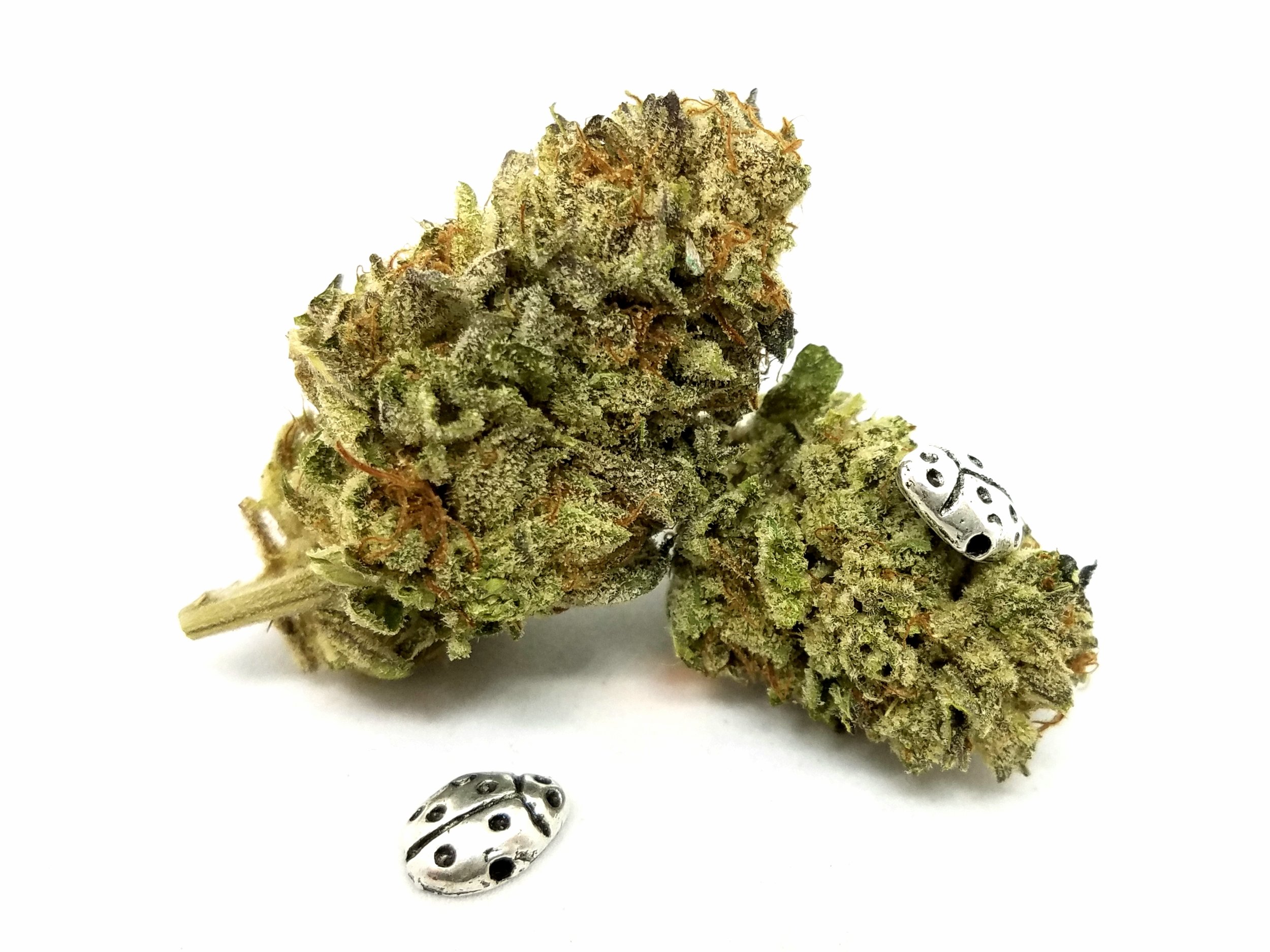 Kings Pure Kush