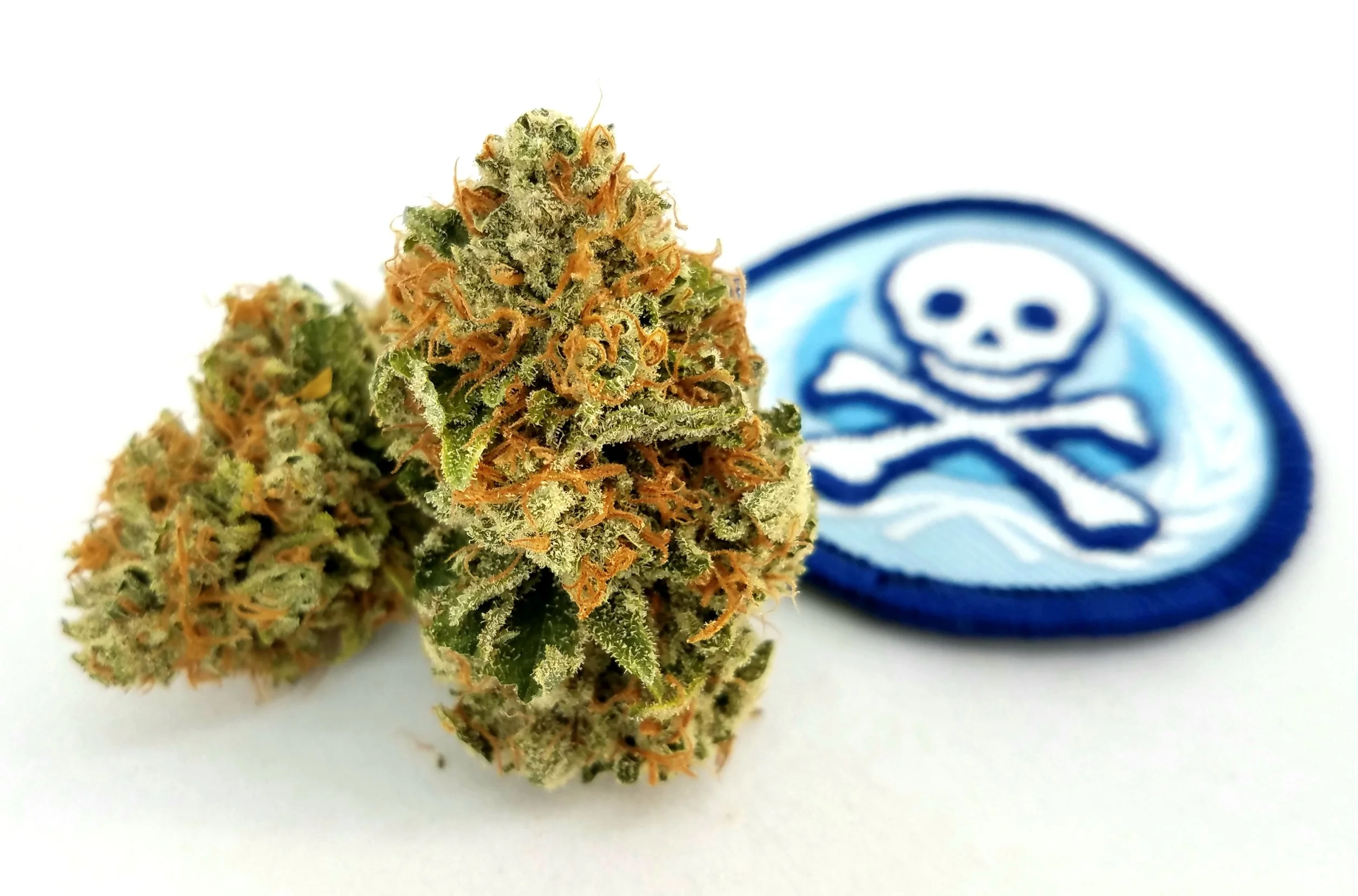 SOG Chemical Cookies grown by Sons of Agronomy