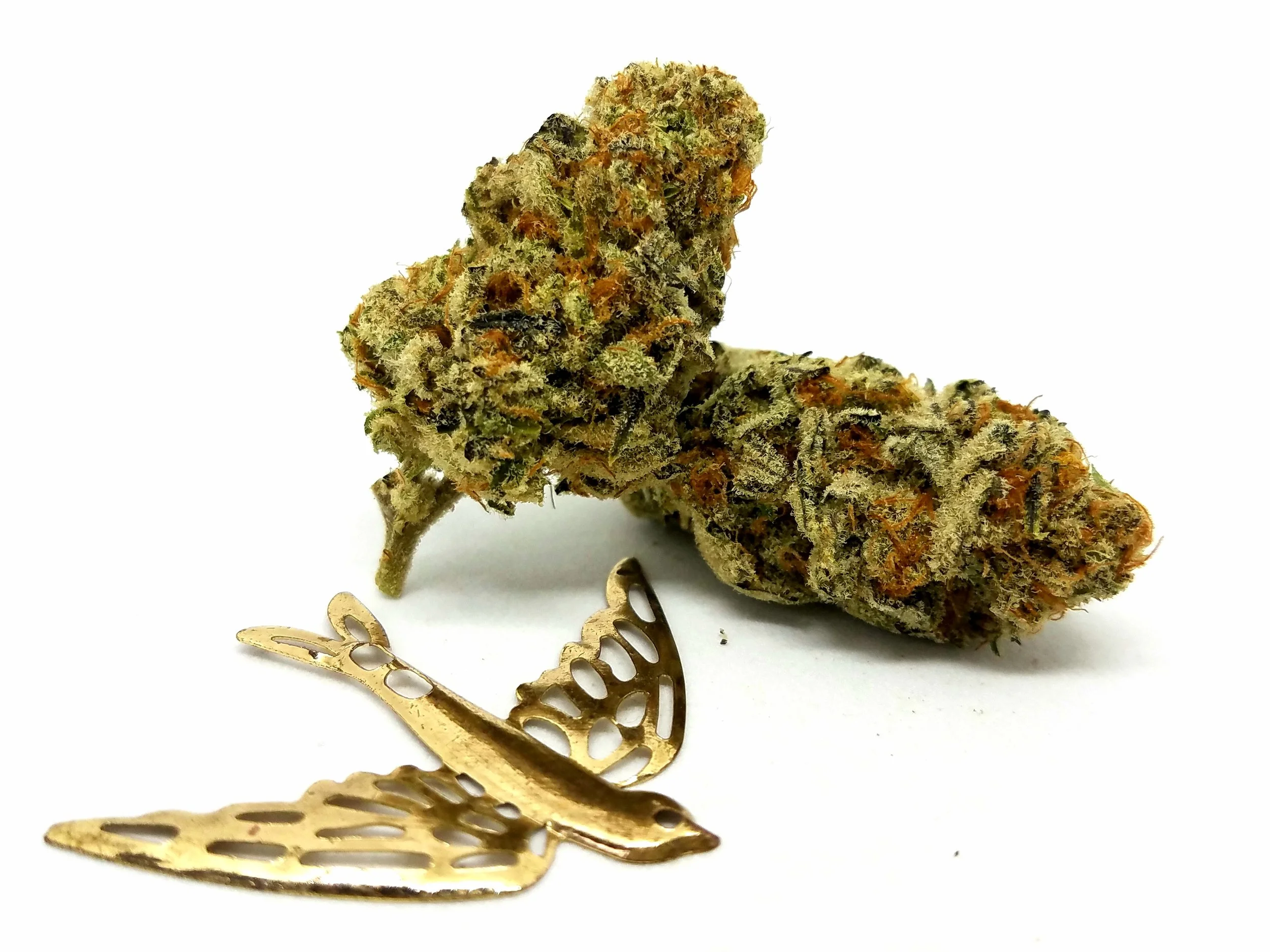 Kings Chernobyl grown by Kings Cannabis