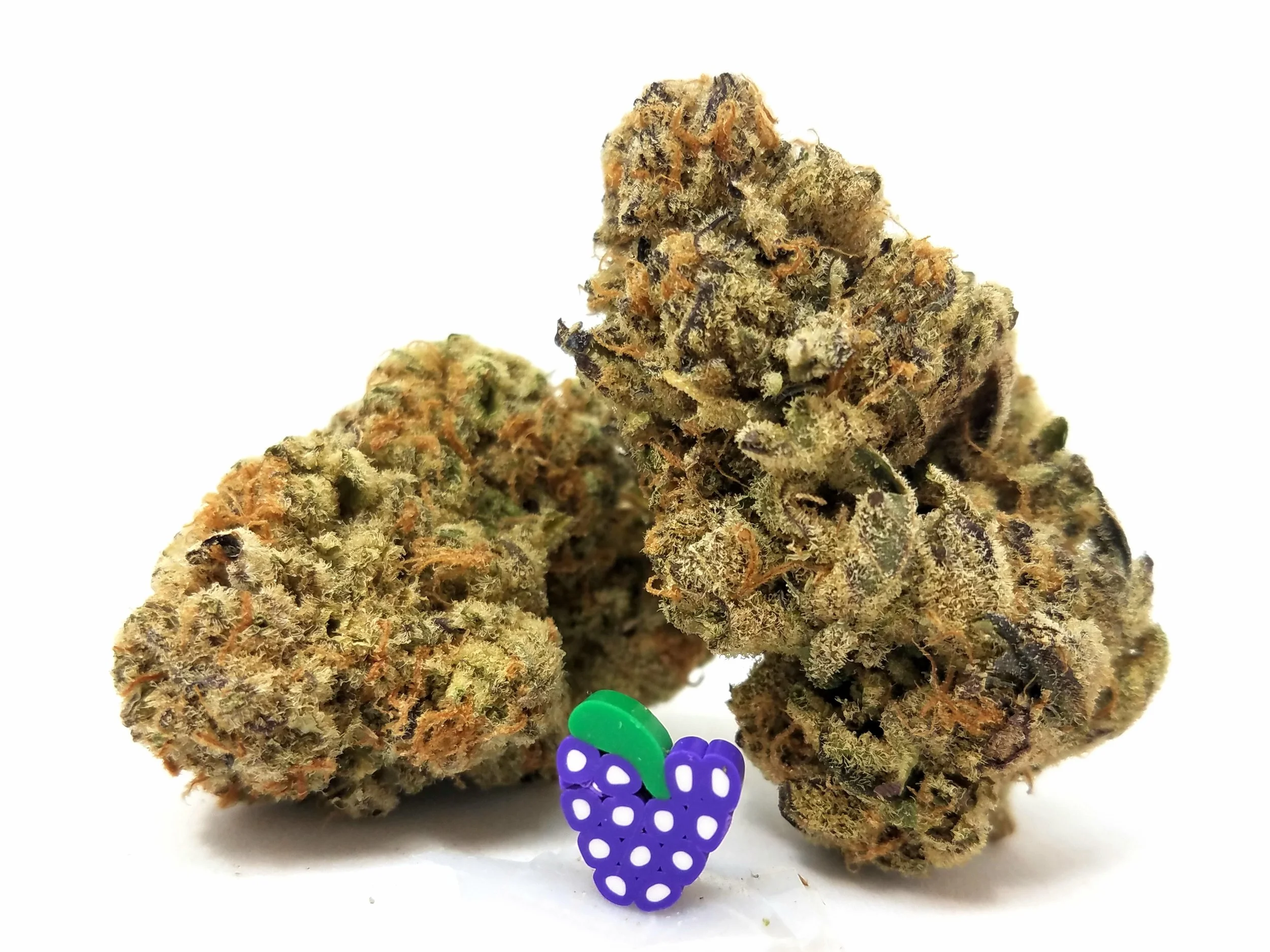 Jelly Breath grown by Higher Minds Horticulture