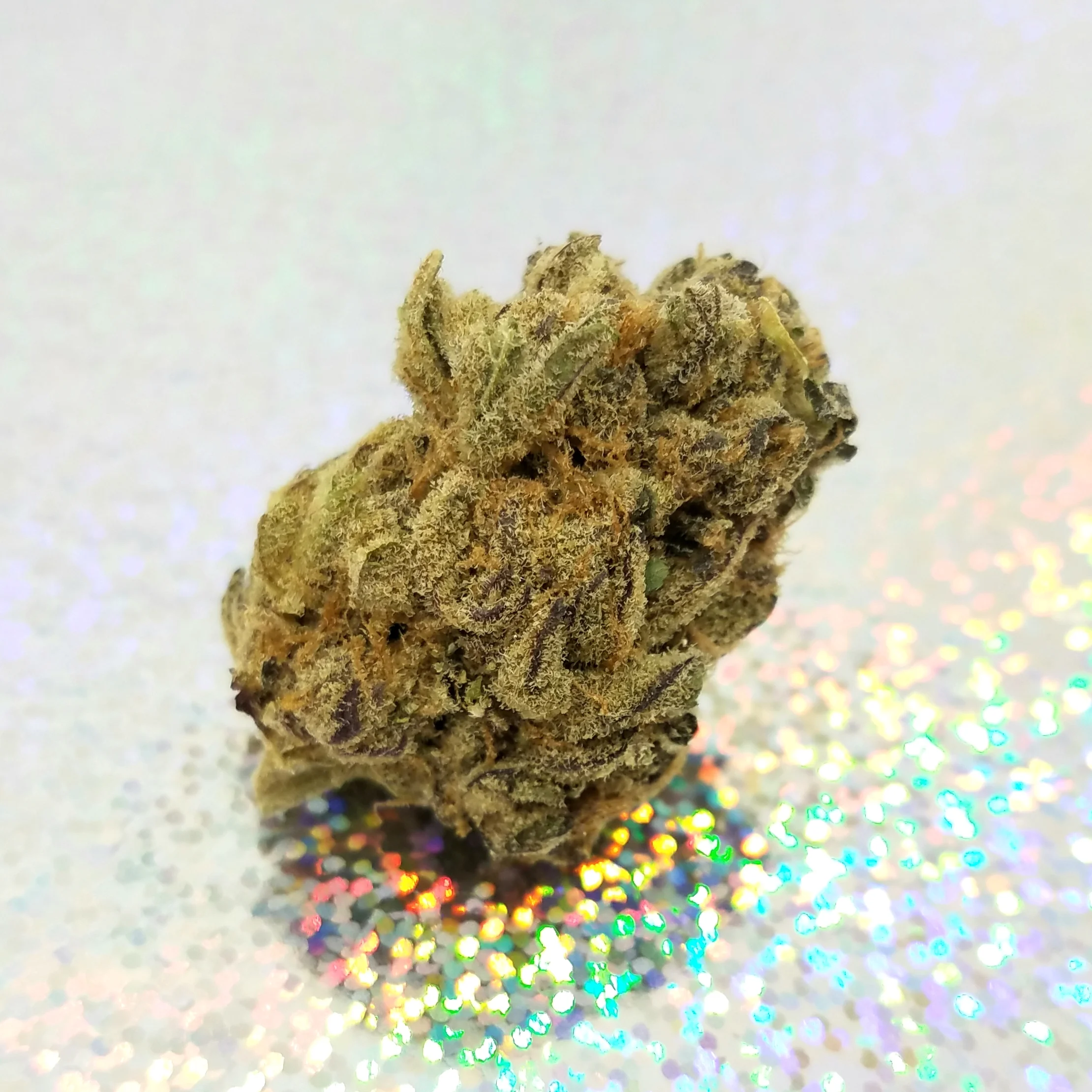 Jelly Breath grown by Higher Minds Horticulture