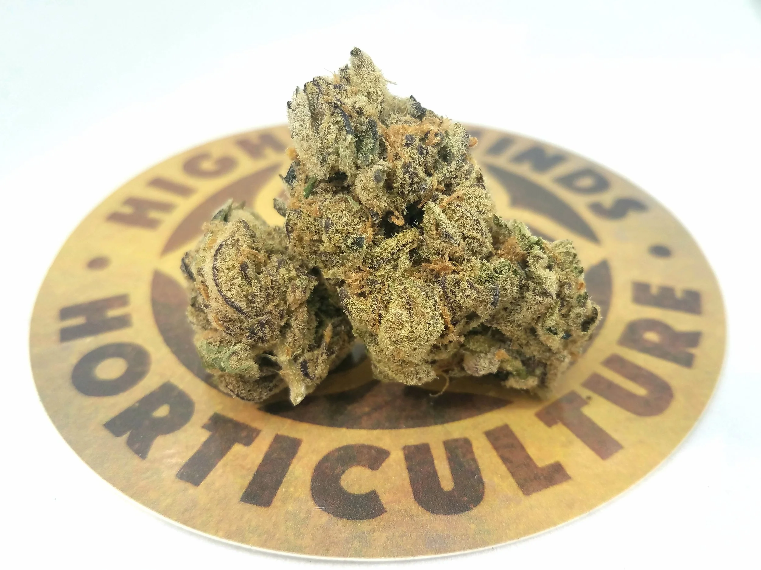 Jelly Breath grown by Higher Minds Horticulture
