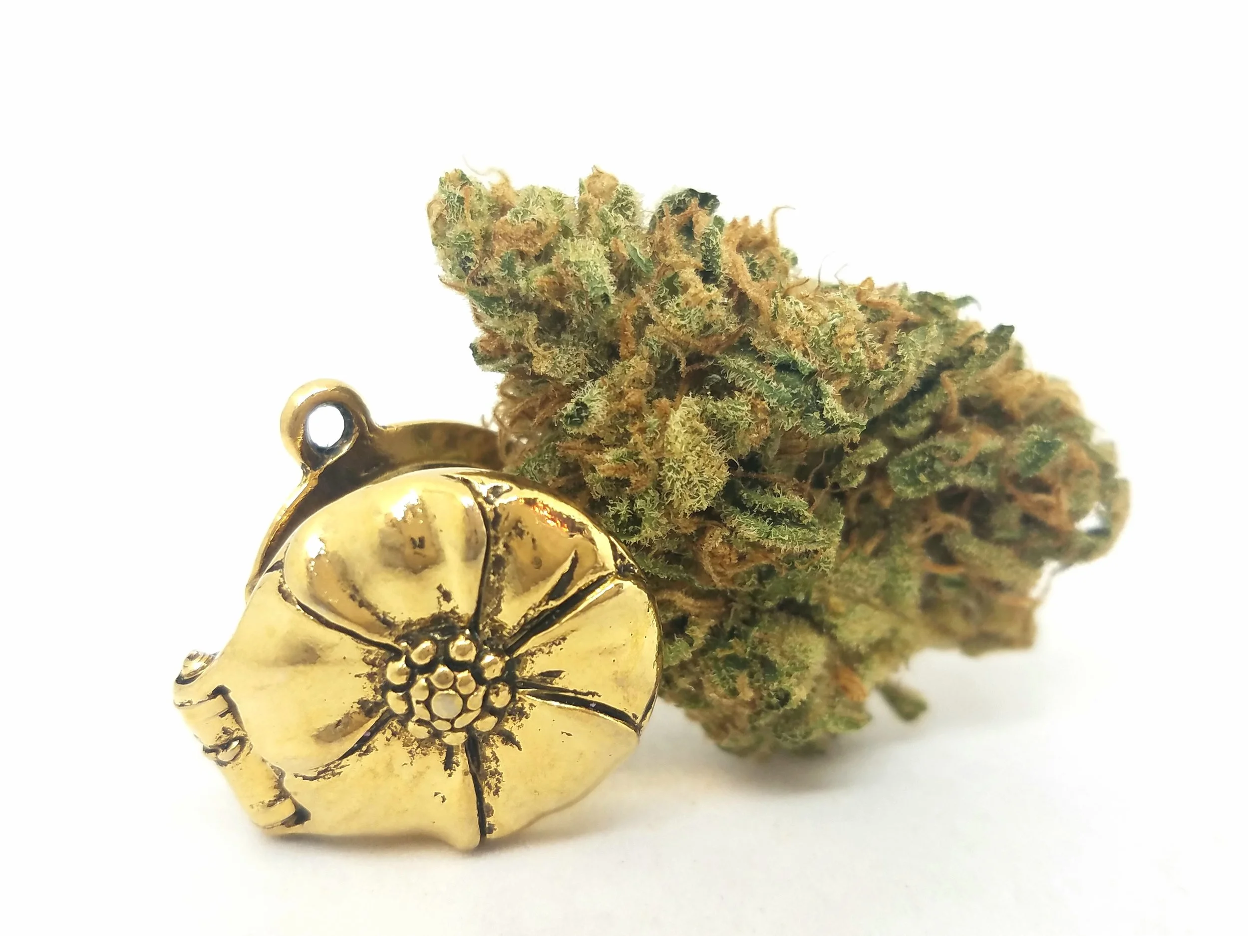 SOG Valley Rose grown by Sons of Agronomy