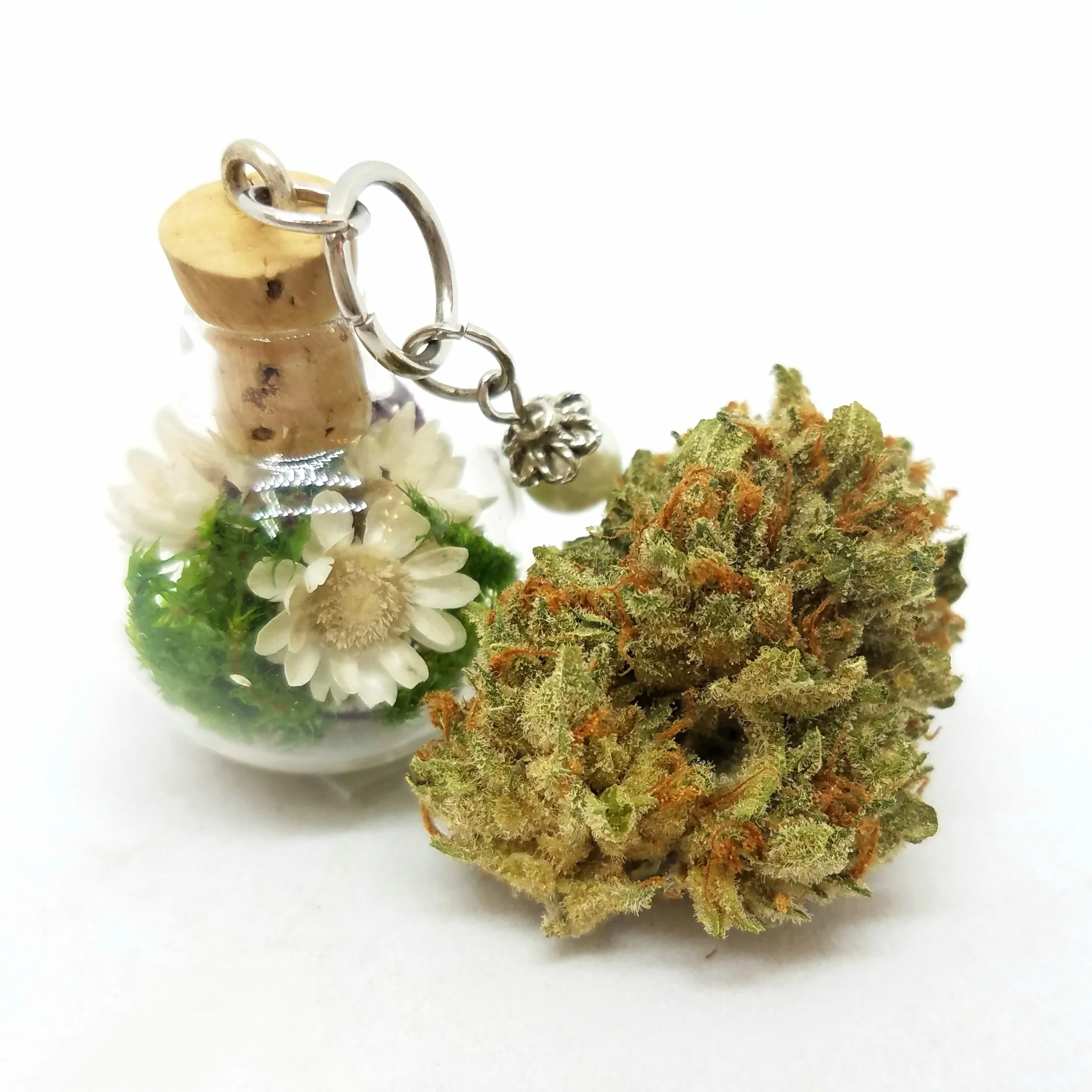 SOG Sour Tangie grown by Sons of Agronomy