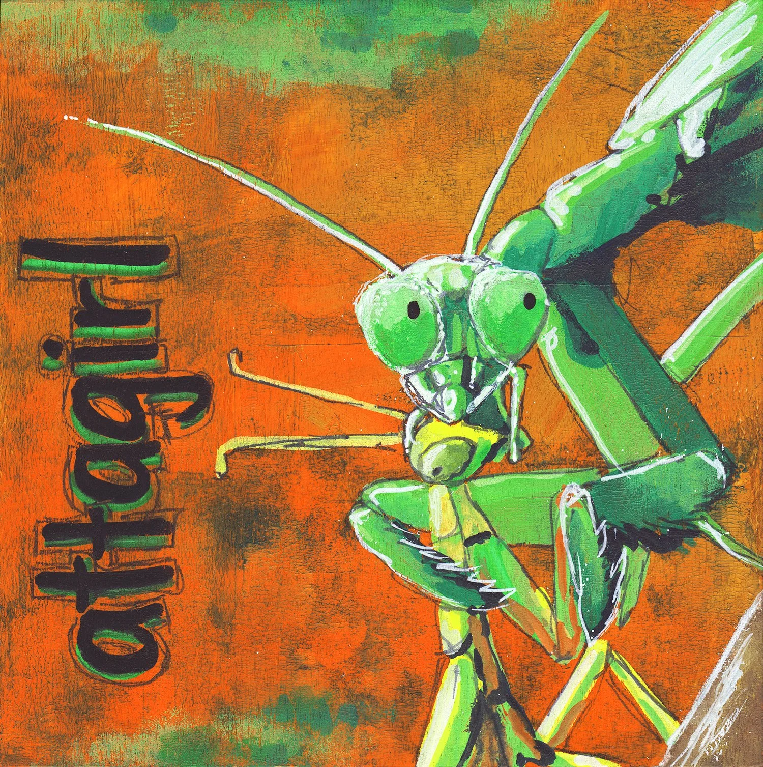 Mantis.jpg