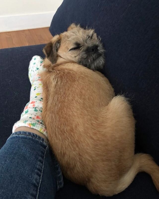 Just Rickey passed out on some one of a kind #sophisticatedsplatter socks. TBQH it&rsquo;s the only content we care about rn. 😉 Plz don&rsquo;t tell #bettywhitethedog. She gets very jealous.
.
Thanks for sharing @cdlabreezy❣️