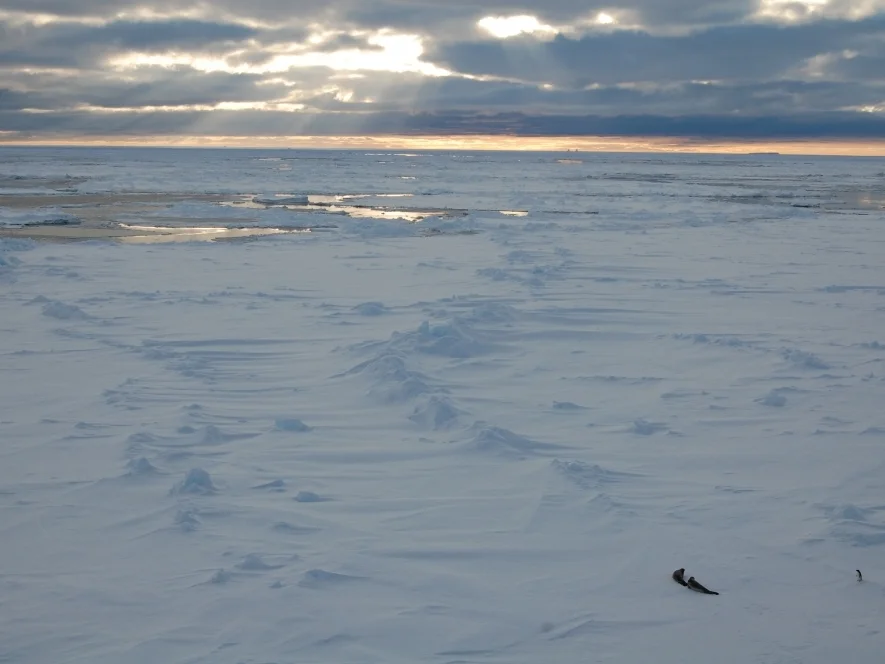 Pack Ice North of Amundsen Sea Polynya