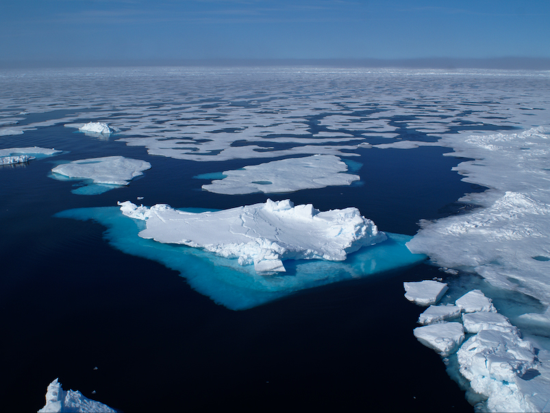 Arctic 1