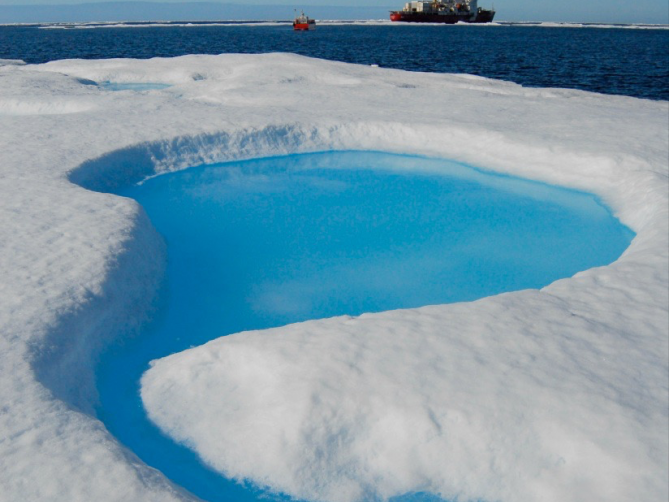 Arctic 3
