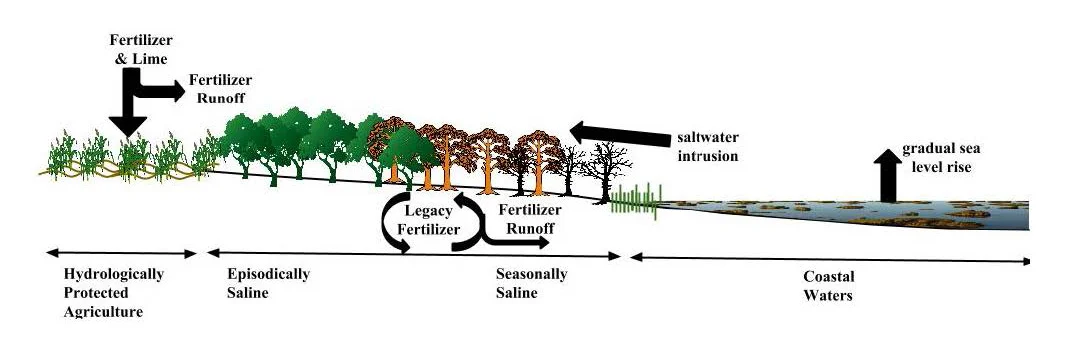 Conceptual diagram of upstream and downstream stressors affecting wetland restoration sites in the coastal plain of the US. DOI: https://doi.org/10.1525/elementa.236.f1