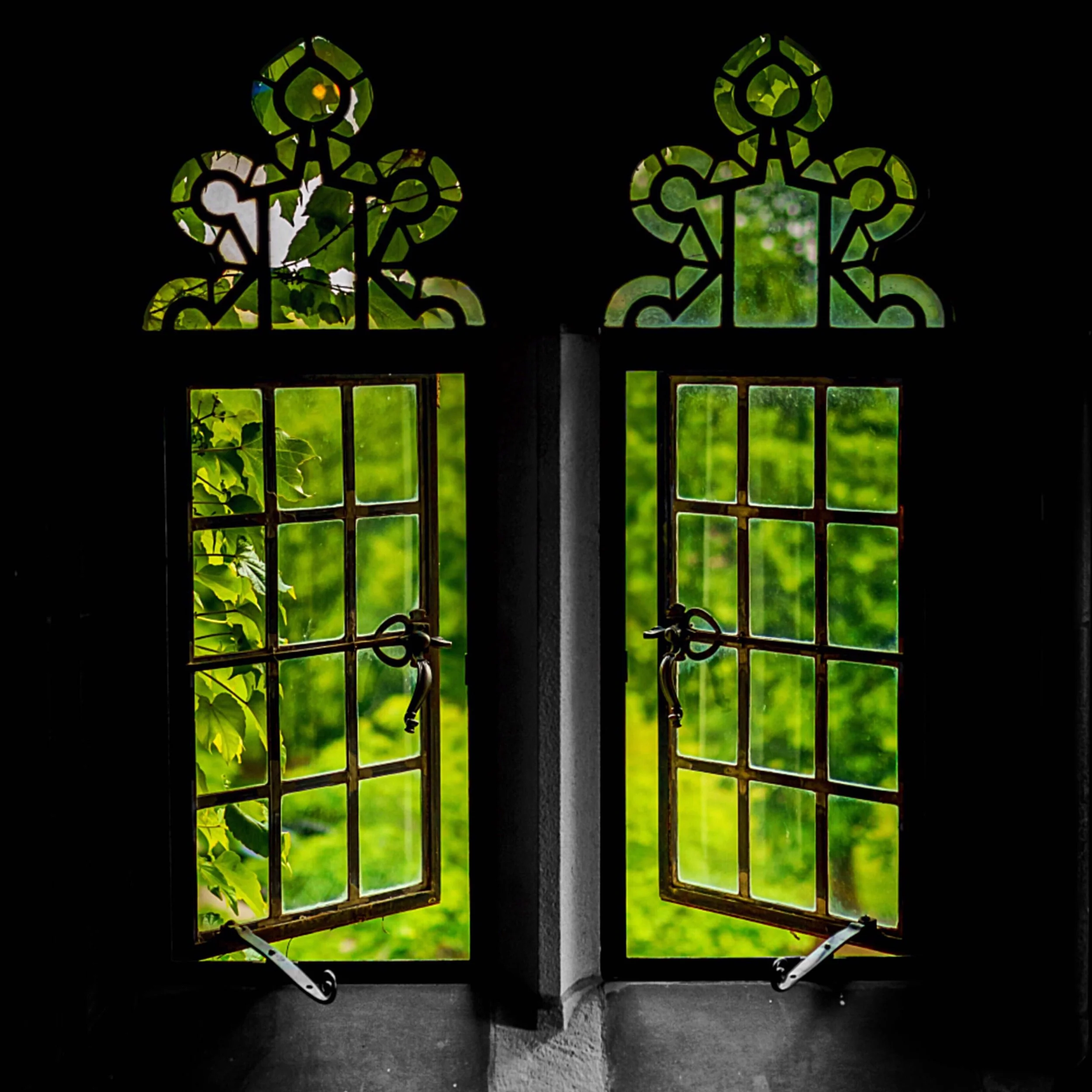 Image from iOS (6) (1).jpg