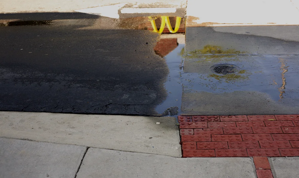 Franklin Reflection.jpg