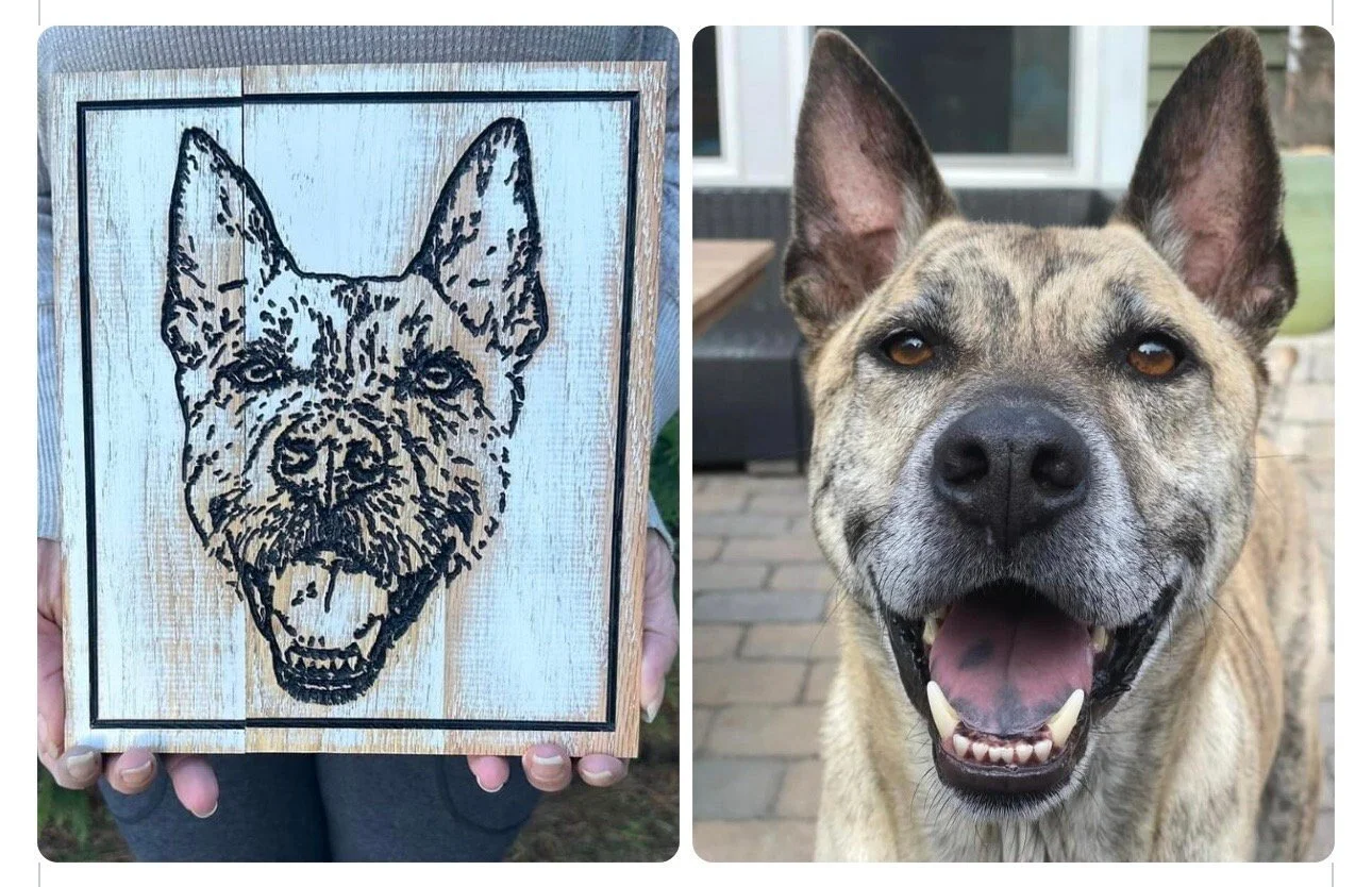 https://i.etsystatic.com/17855415/r/il/ab4d99/5849257822/il_fullxfull.5849257822_binl.jpg