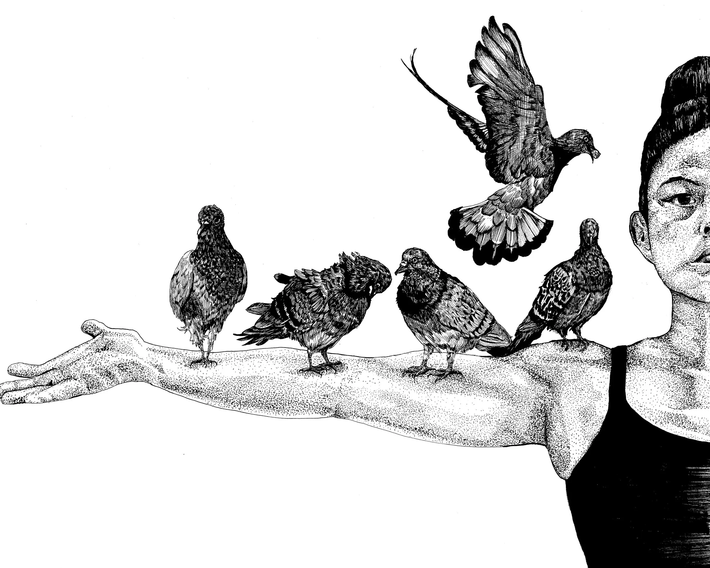 Perch (Left Side), Pen and Ink Diptych, 11" x 14", 2016