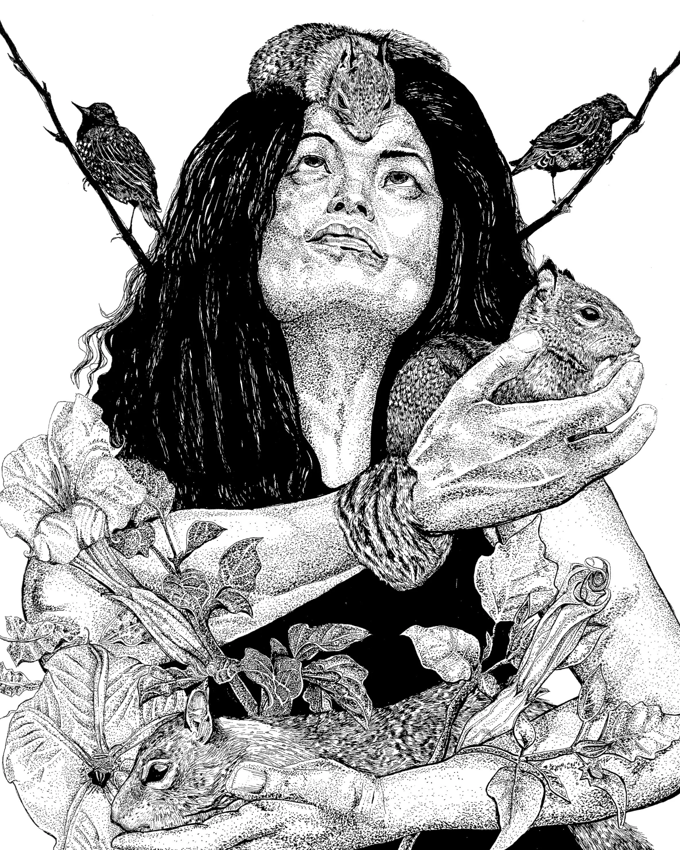 Emma Wood, Pen and Ink 11" x 14", 2016