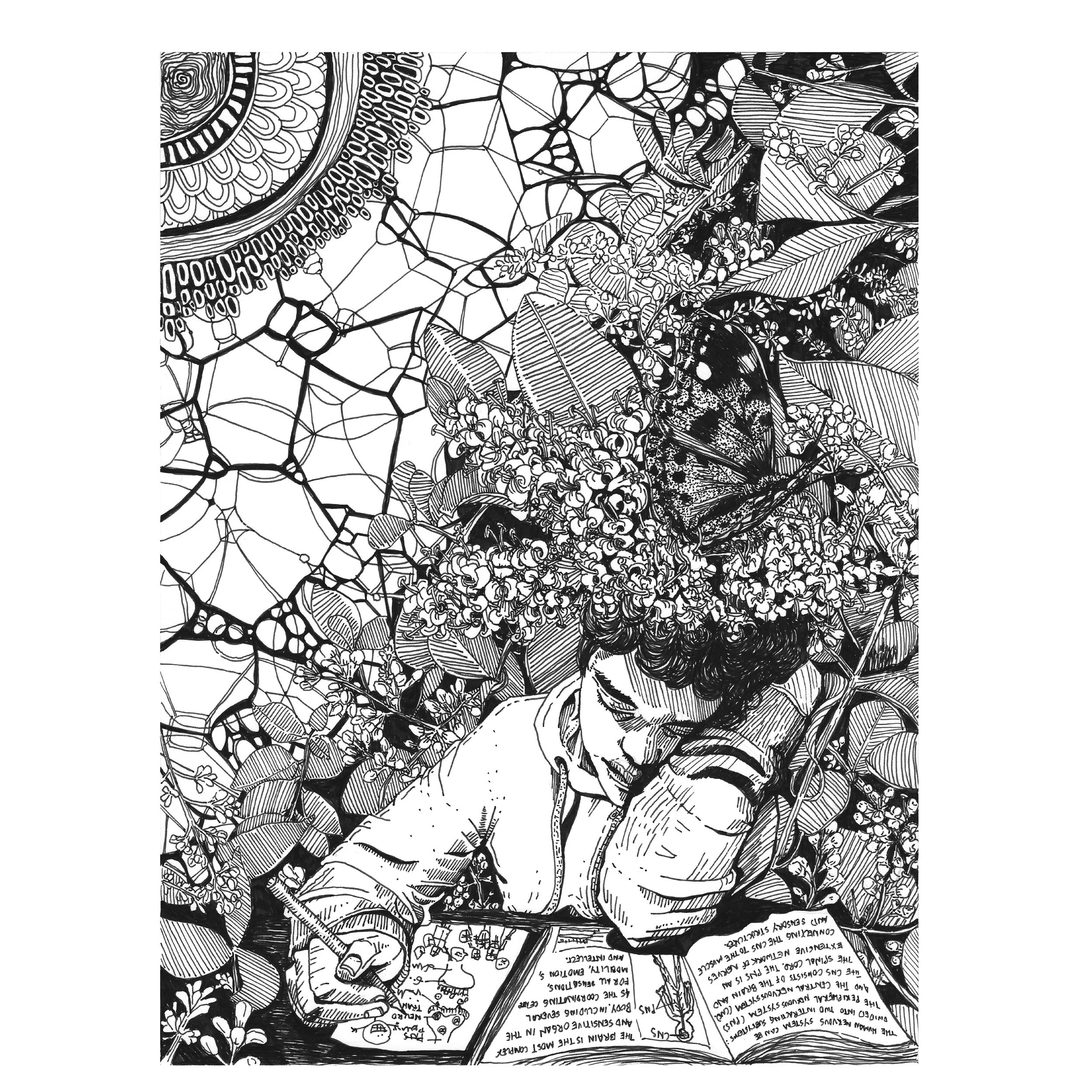 doodle 7.2.jpg