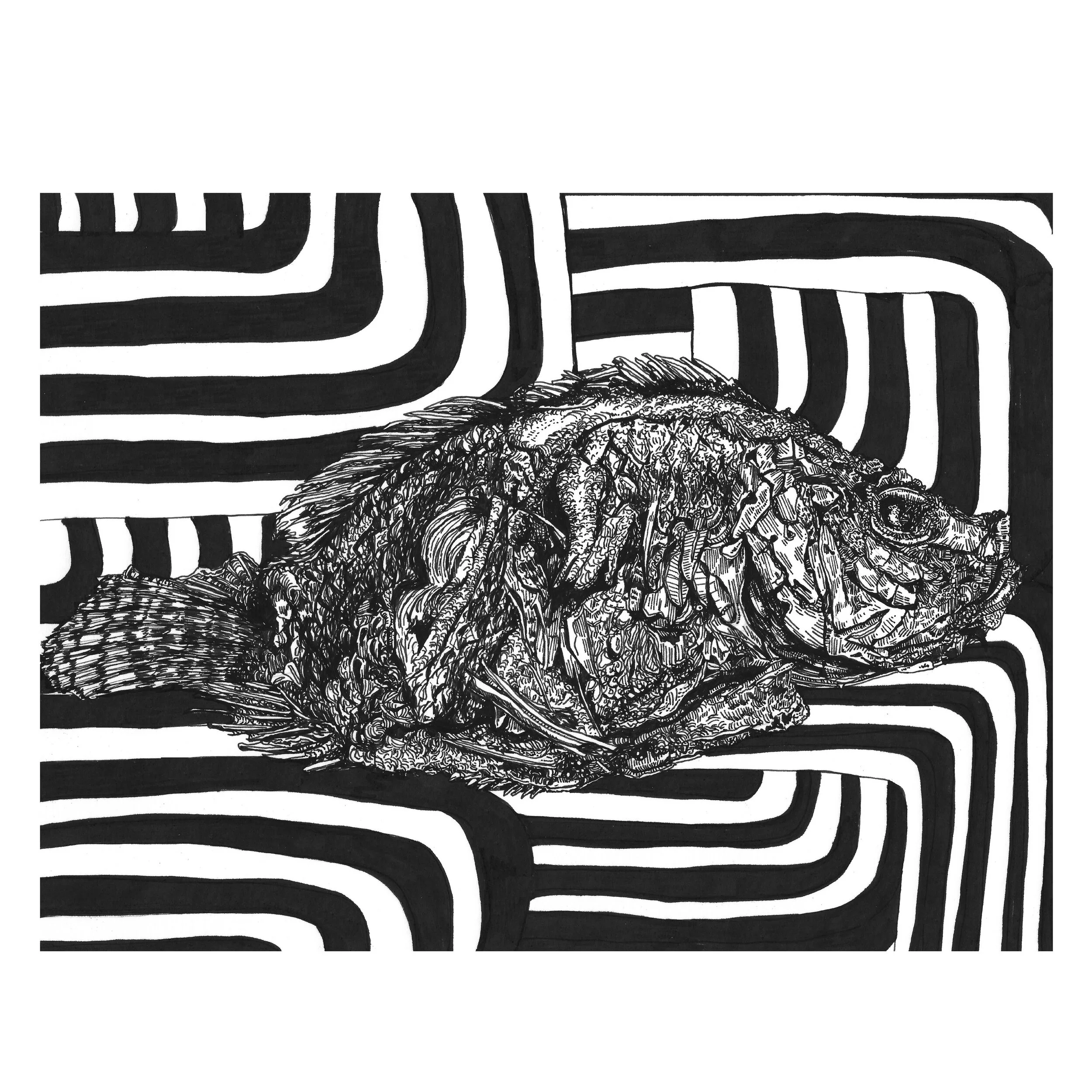 doodle 11.2.jpg