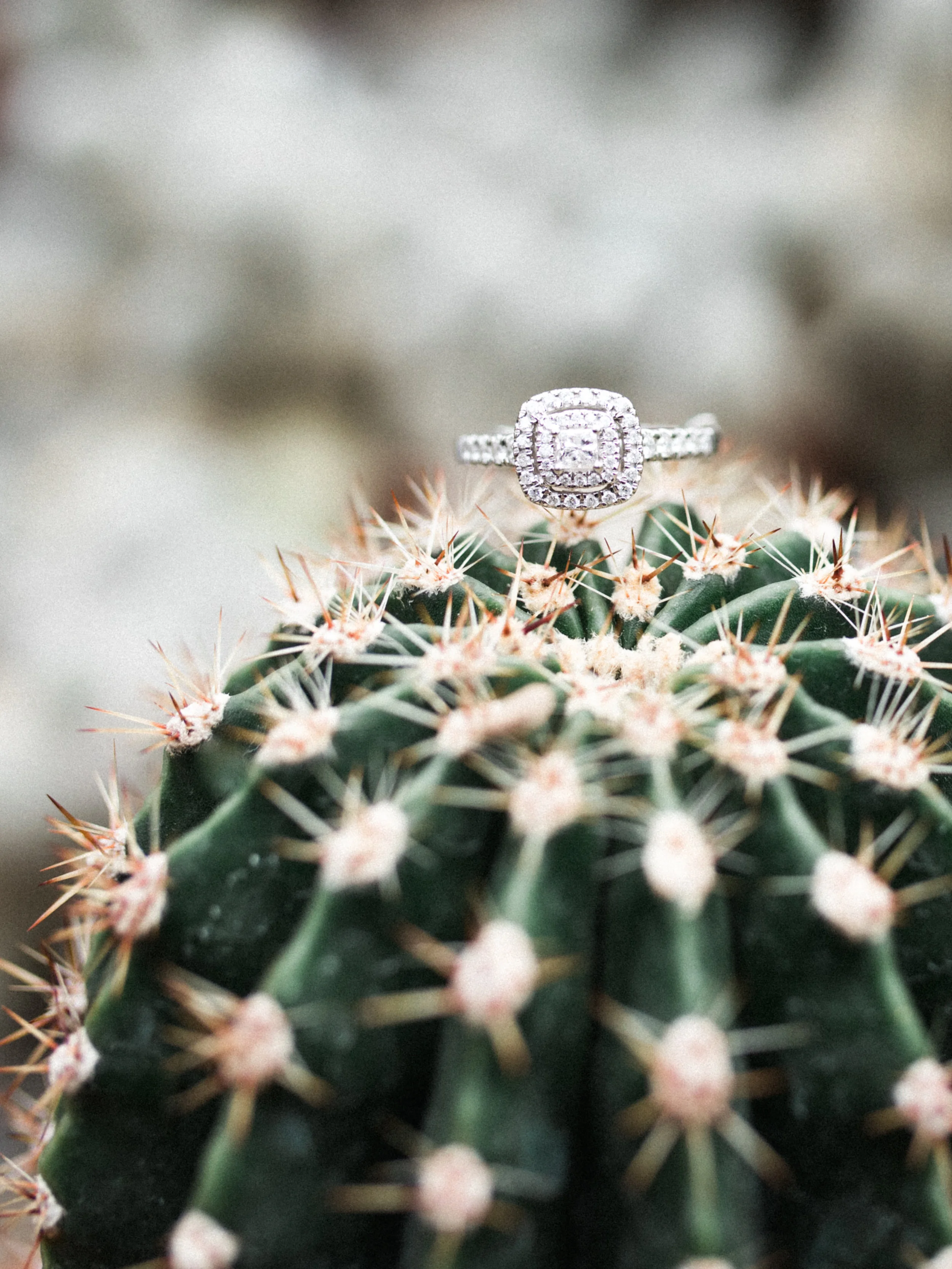 Rylee &amp; Allie || A Wintery Manito Park Engagement, Spokane, WA