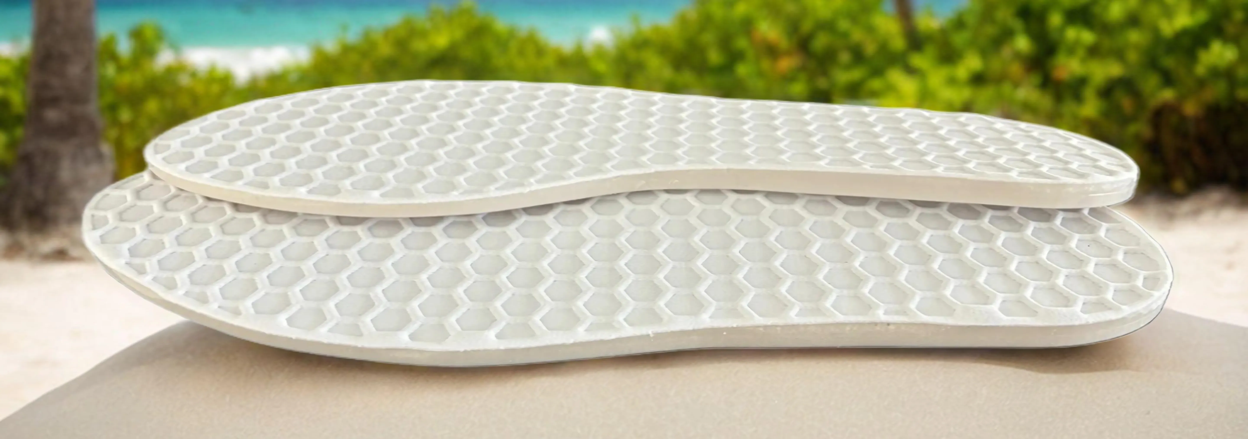 Beach Backgorund.png