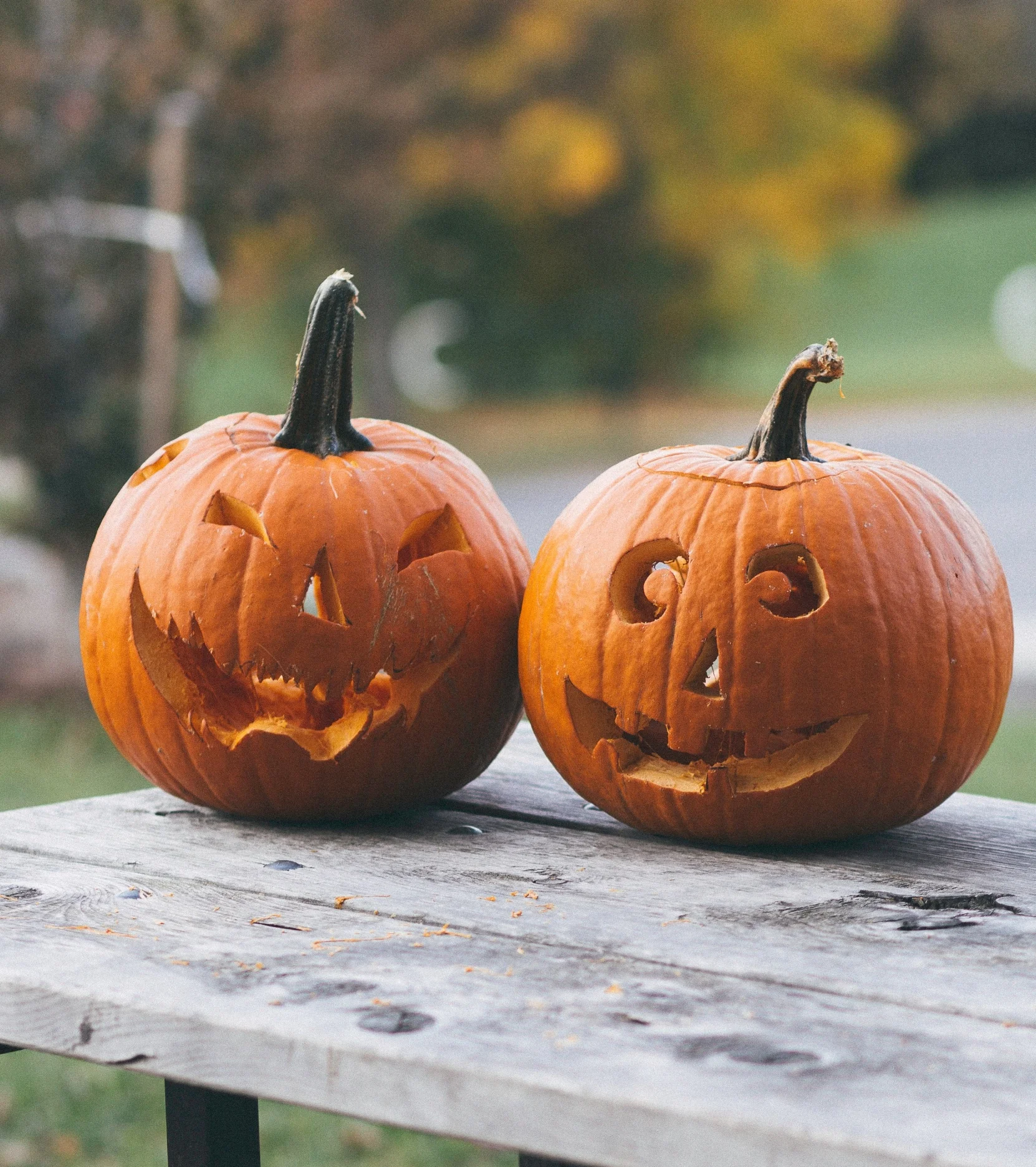 jack o'lanterns.jpg