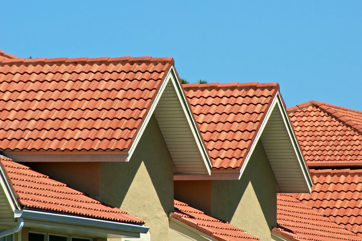 Clay Roof.jpg