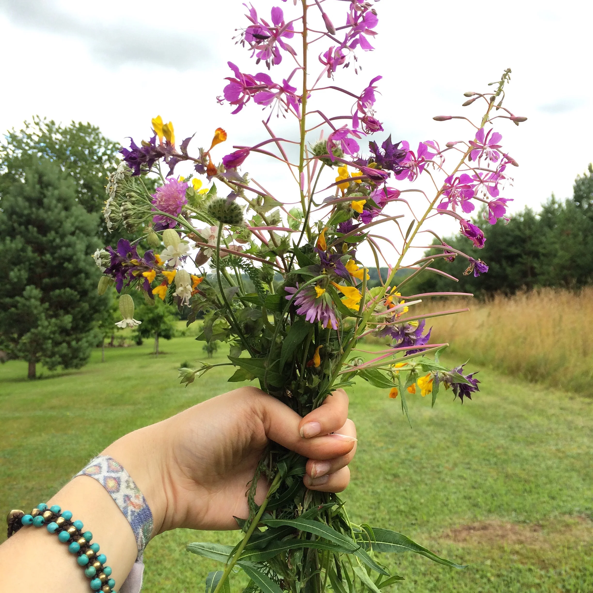 Summer of Self-Care, Vol 1