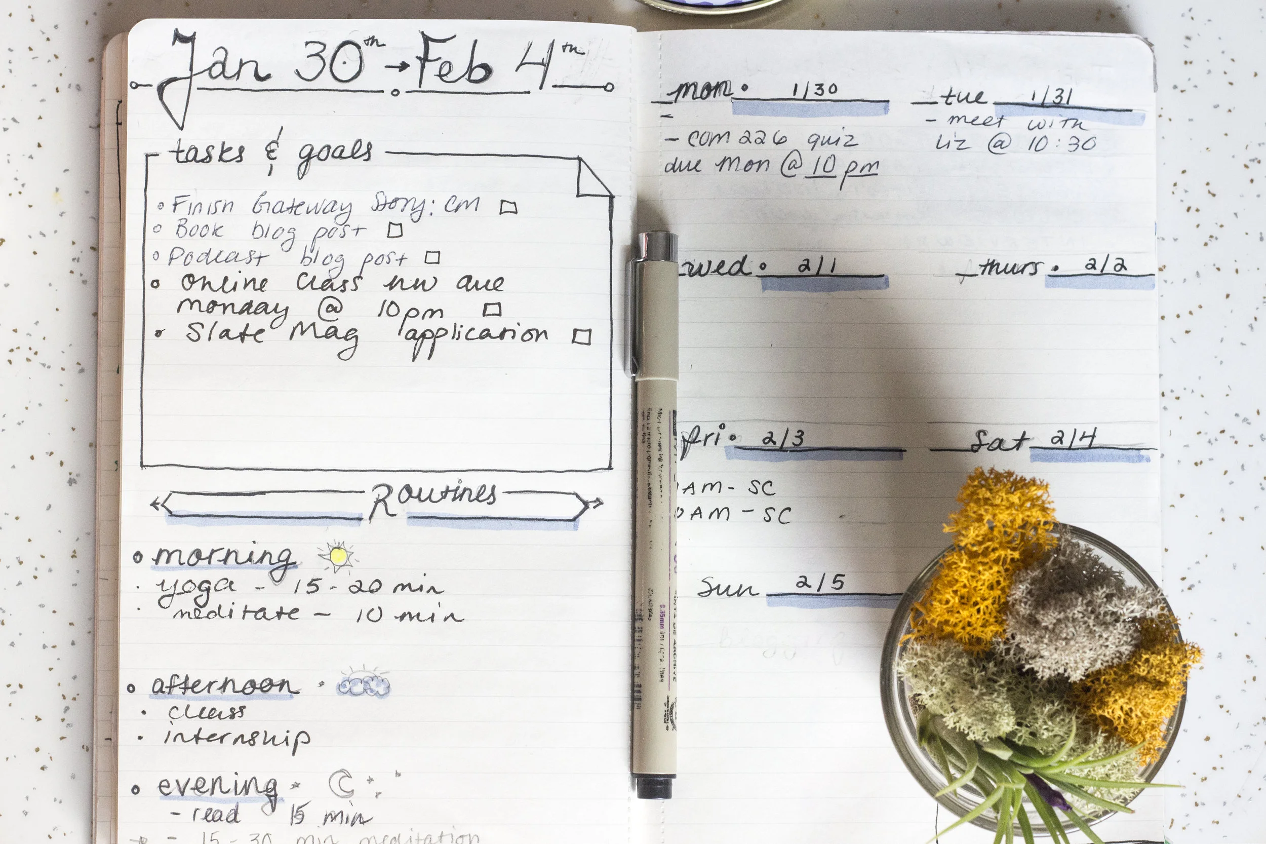 Bullet Journaling For the Soul