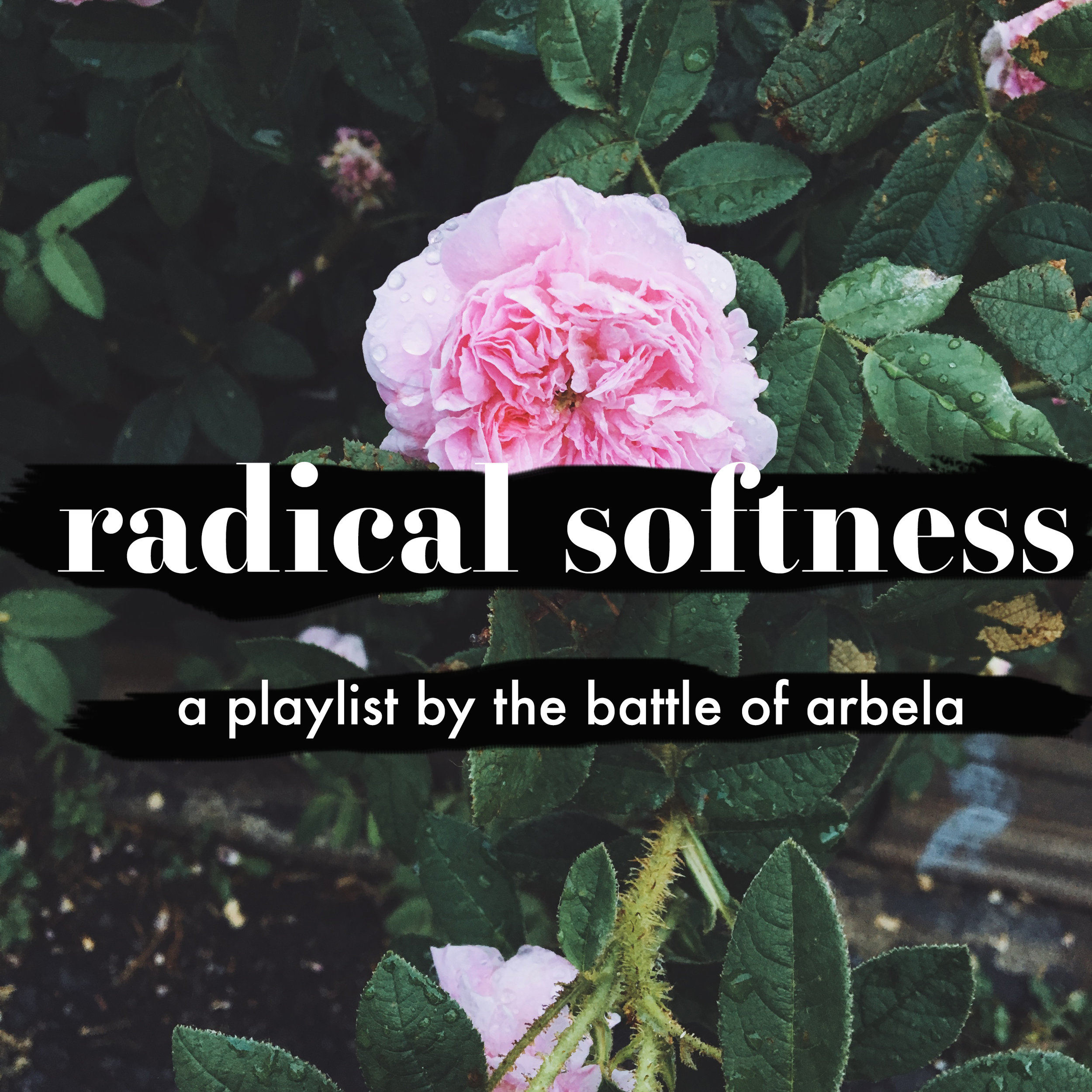 Playlist: Radically Soft
