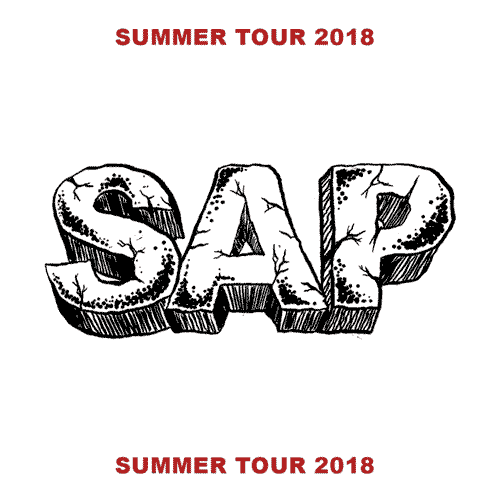 sap-preview-and-gif.gif